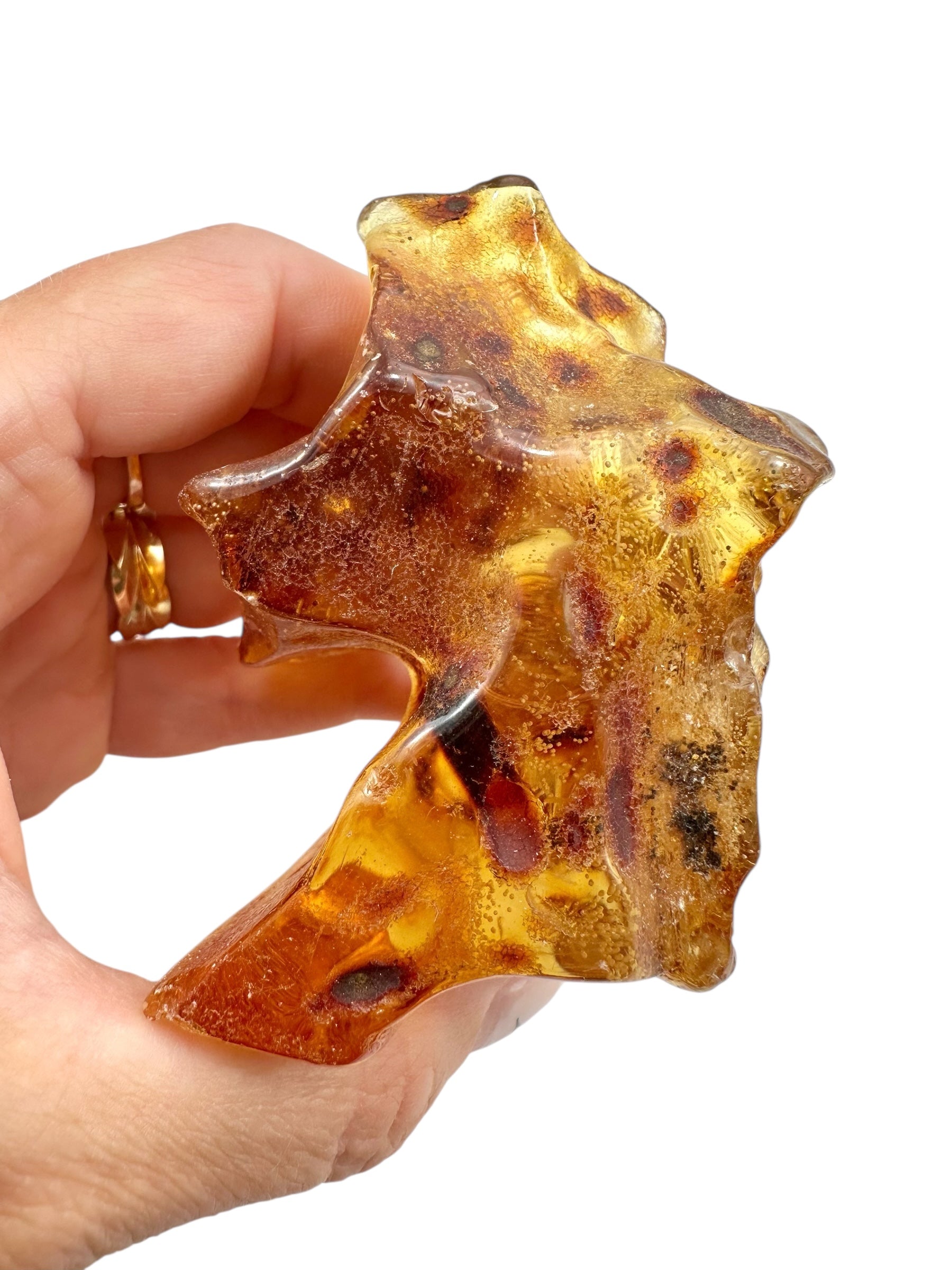 Young Amber (Copal) – Colombia - JN409