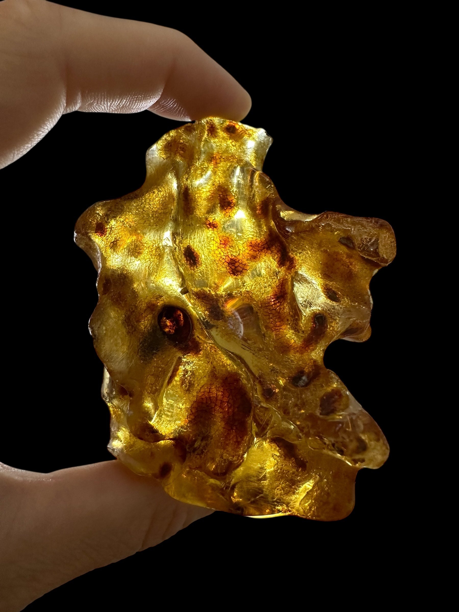 Young Amber (Copal) – Colombia - JN409