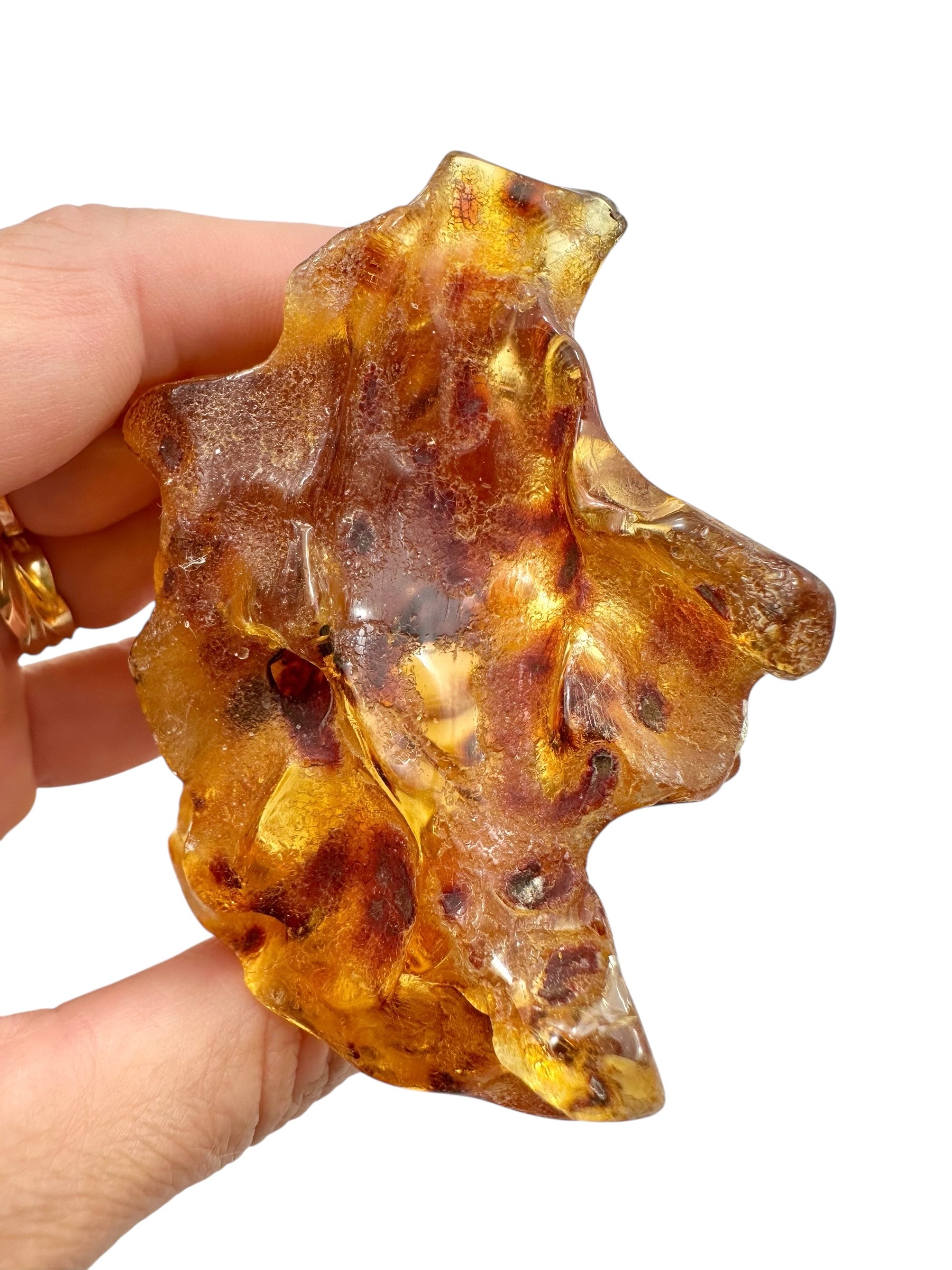 Young Amber (Copal) – Colombia