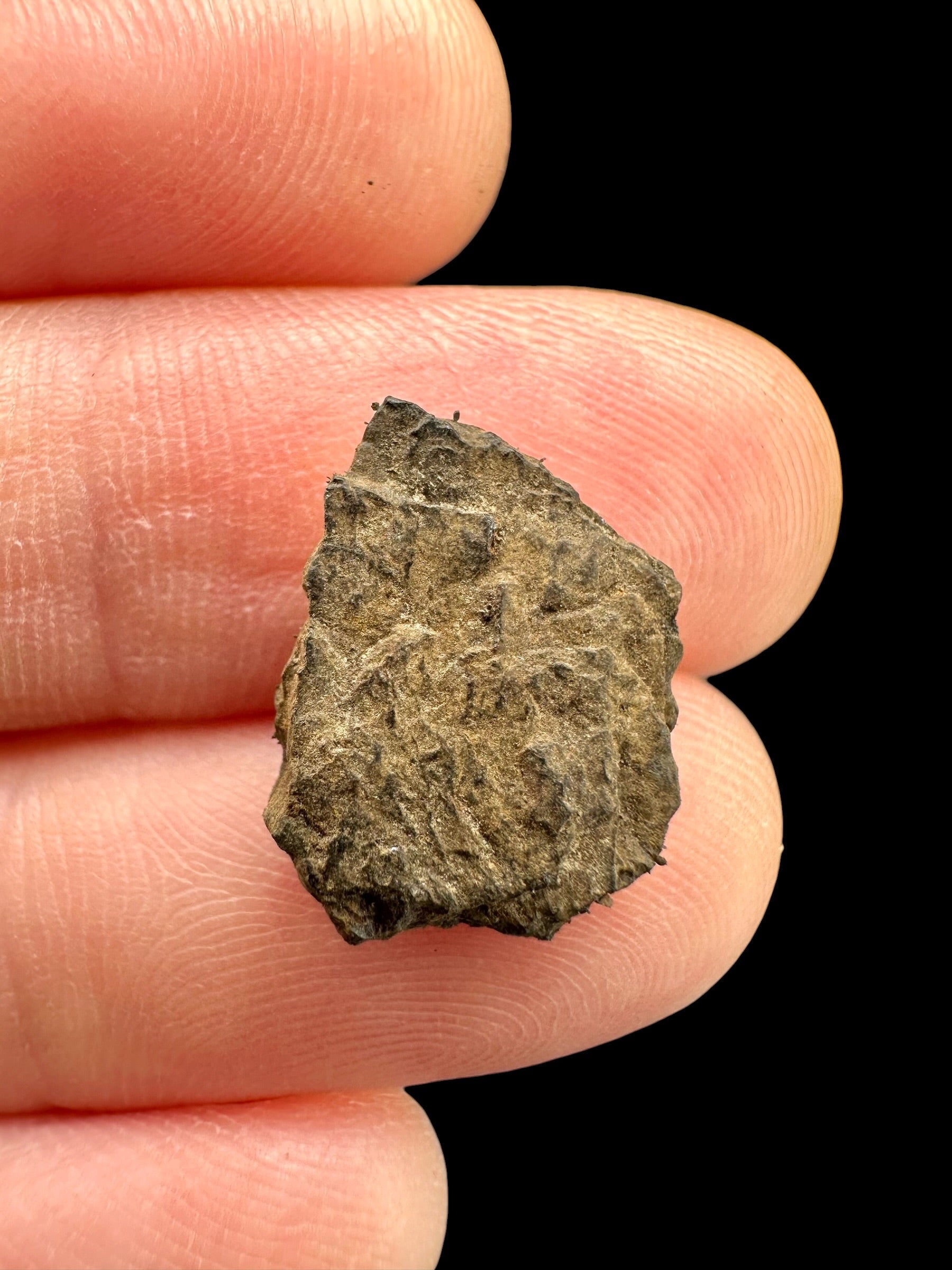 Meteorite Bendegó 0,9g – Brazil - MEBN11