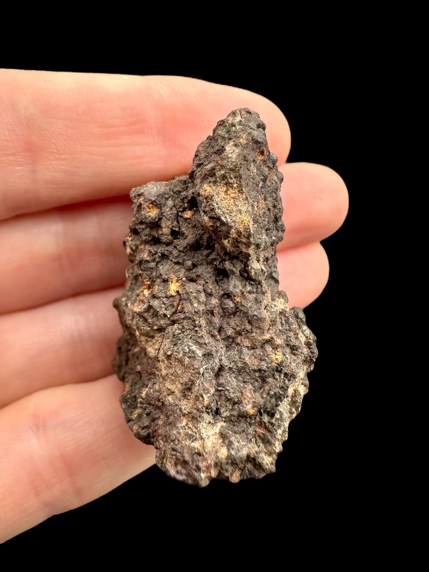Meteorite Erg Chech 003 – 27,6g – Algeria - MEECH02