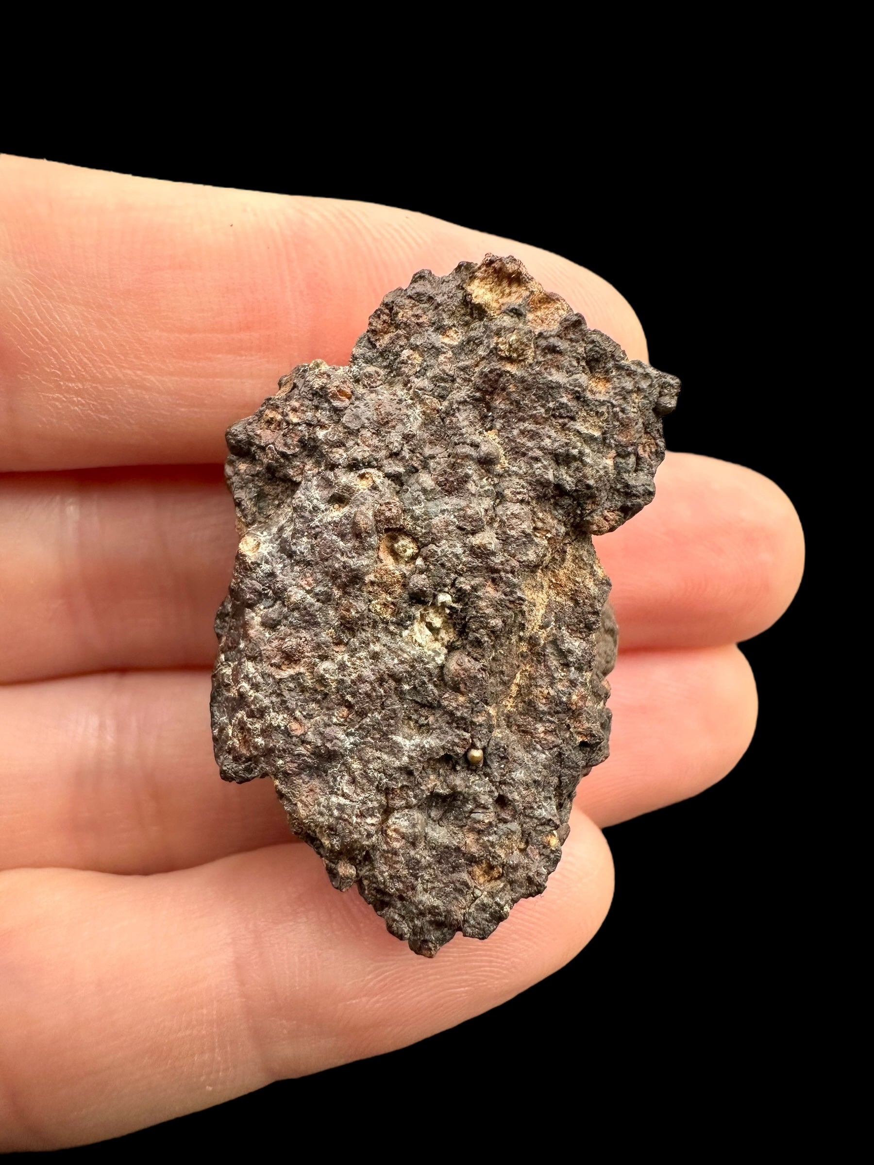 Meteorite Erg Chech 003 – 13,6g – Algeria - MEECH04