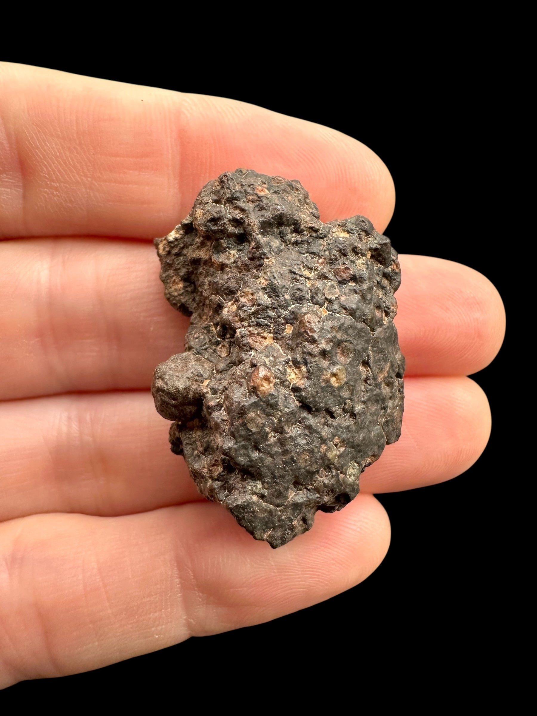 Meteorite Erg Chech 003 – 13,6g – Algeria