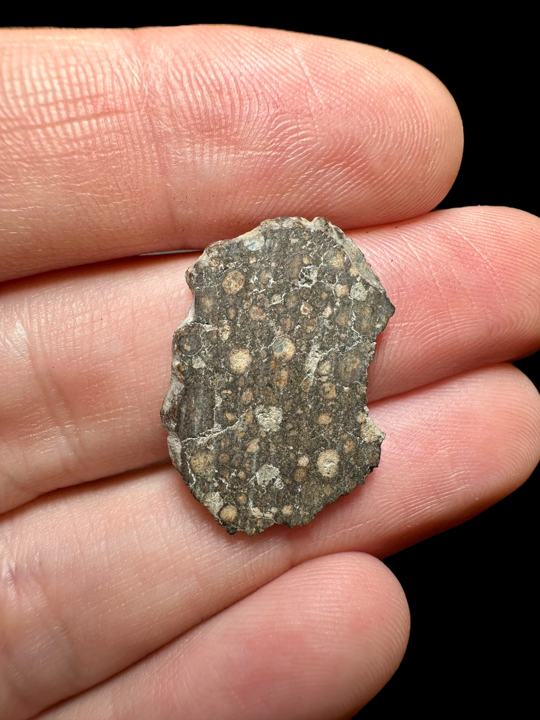 Meteorite Erg Chech 003 – 1,2g – Algeria - MEECH07
