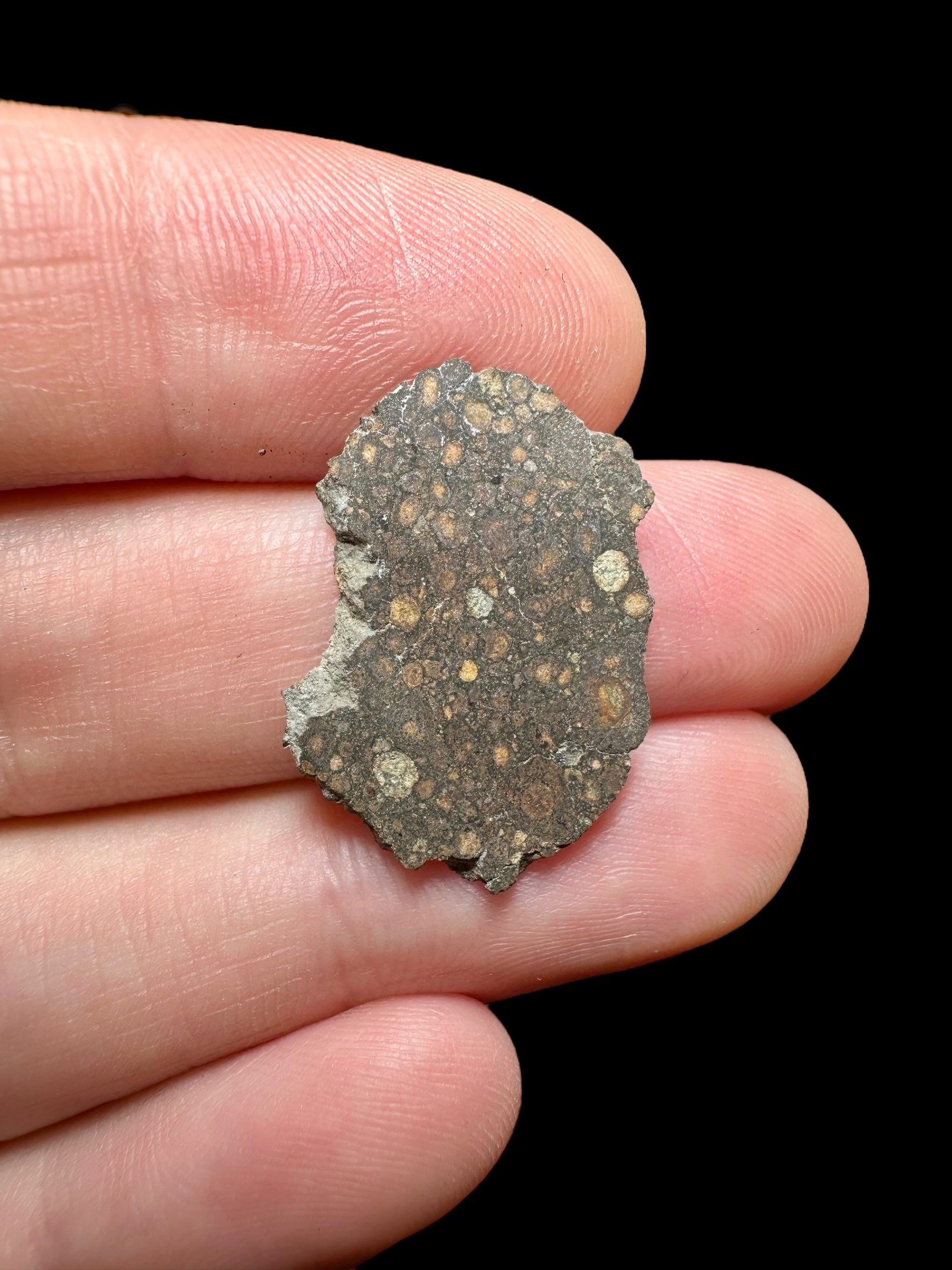 Meteorite Erg Chech 003 – 1,2g – Algeria