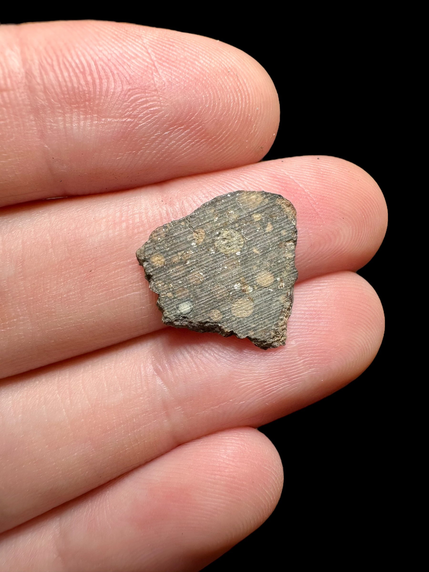 Meteorite Erg Chech 003 – 0,7g – Algeria - MEECH08