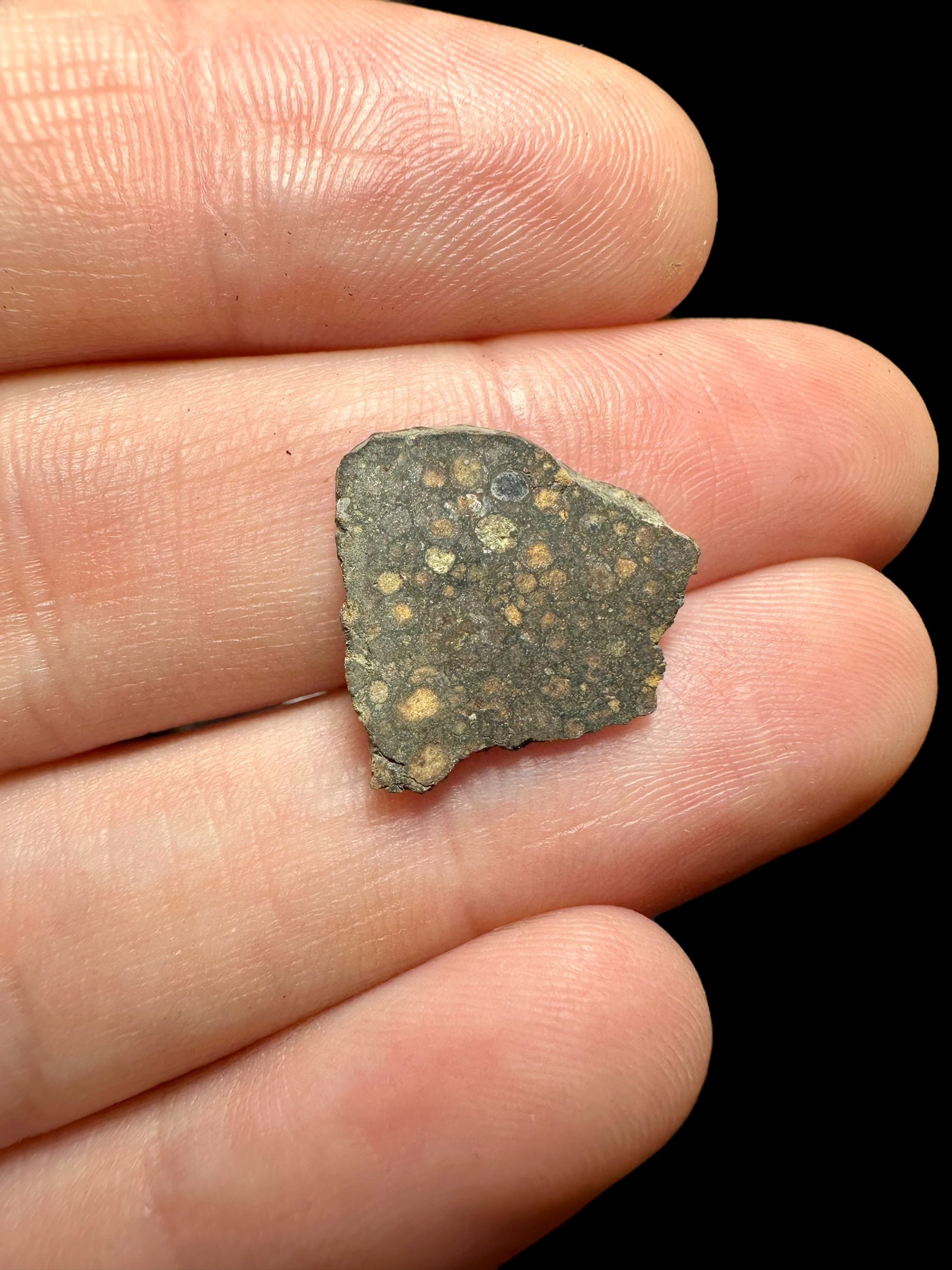 Meteorite Erg Chech 003 – 0,7g – Algeria
