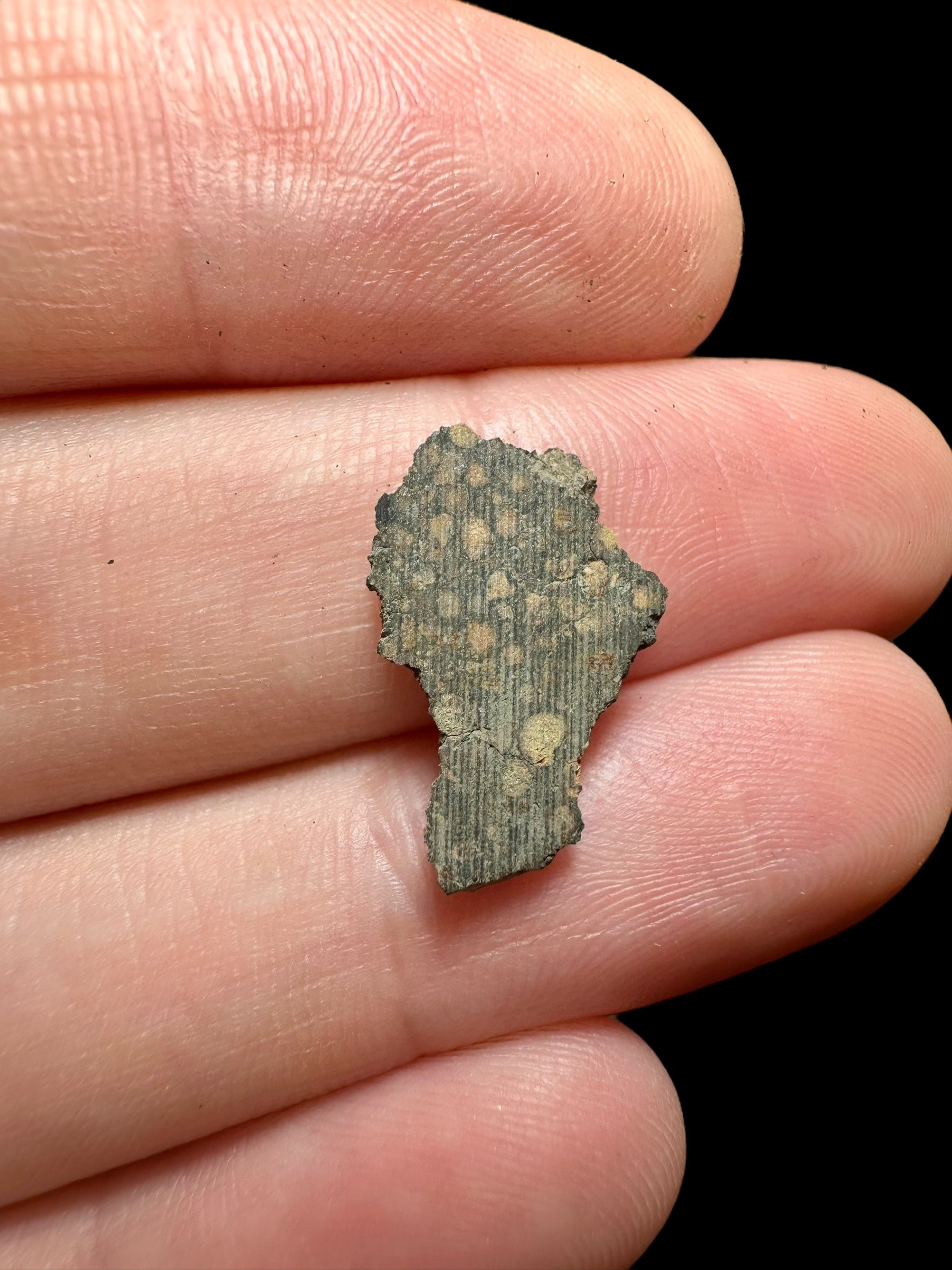 Meteorite Erg Chech 003 – 0,5g – Algeria - MEECH09