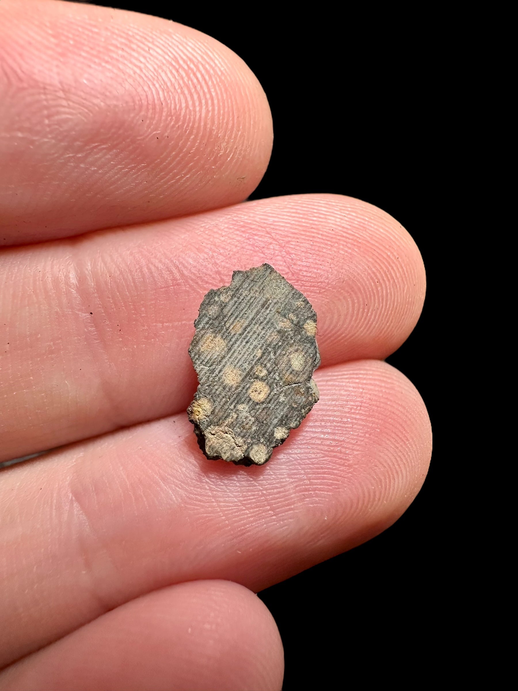 Meteorite Erg Chech 003 – 0,2g – Algeria - MEECH11
