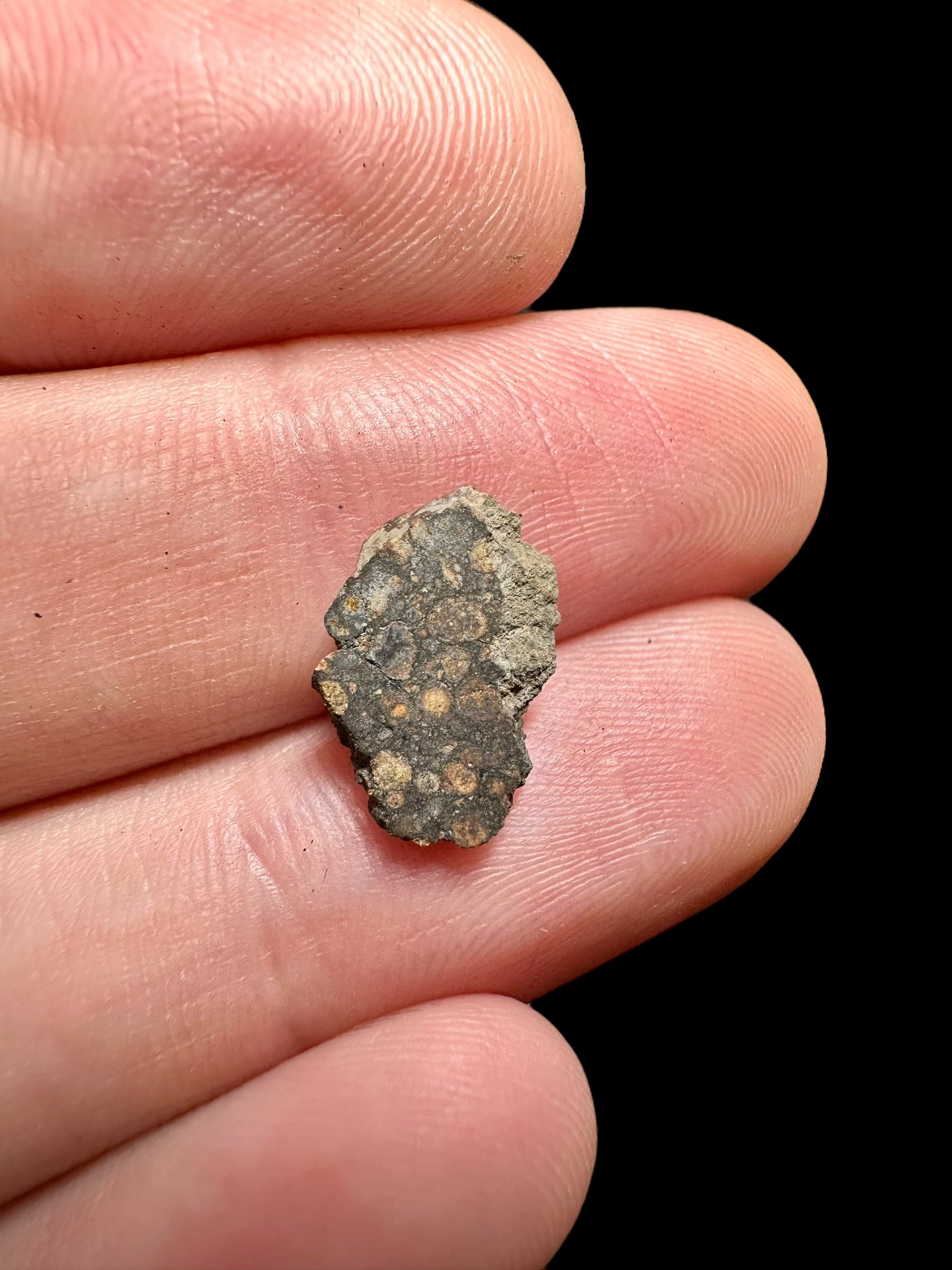 Meteorite Erg Chech 003 – 0,2g – Algeria