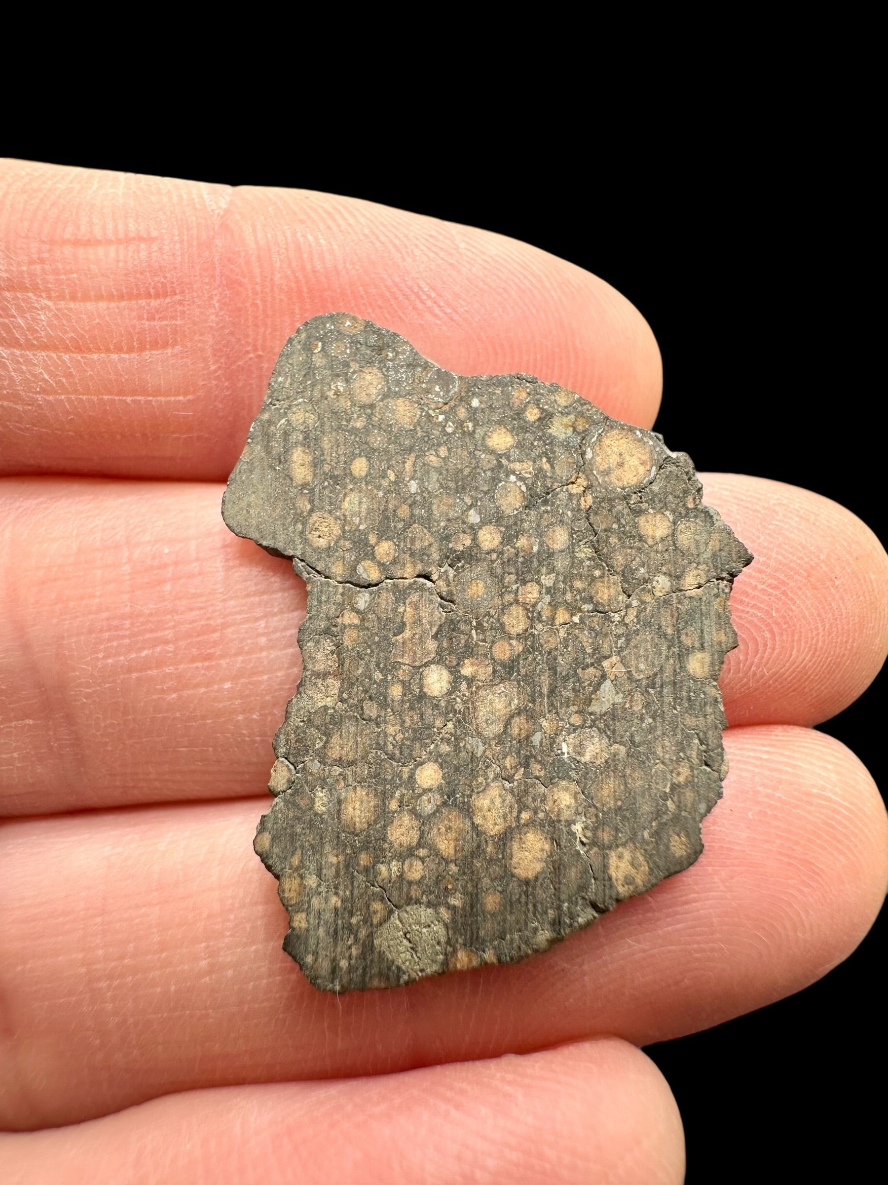 Meteorite Erg Chech 003 – 2g – Algeria - MEECH12