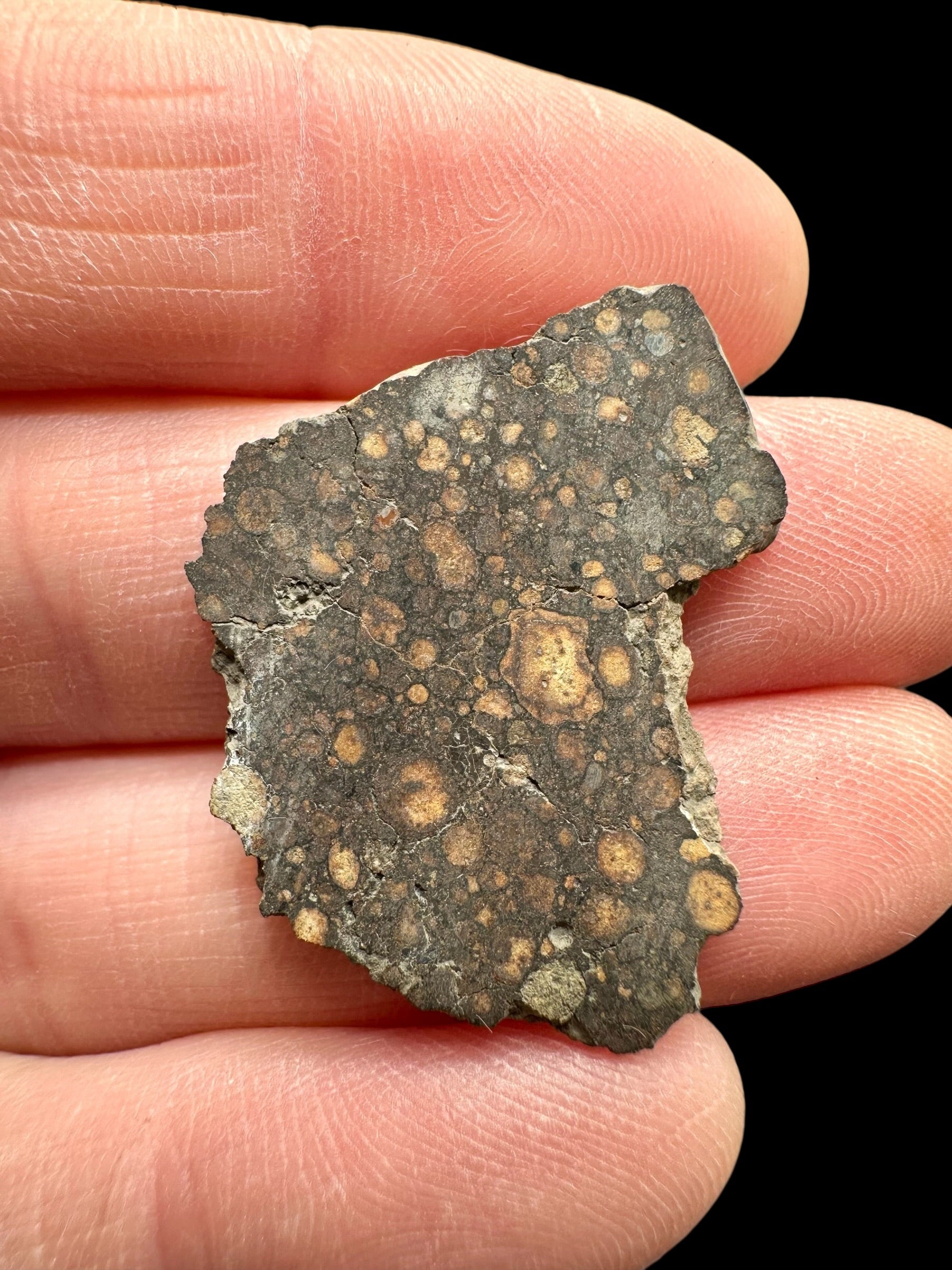 Meteorite Erg Chech 003 – 2g – Algeria