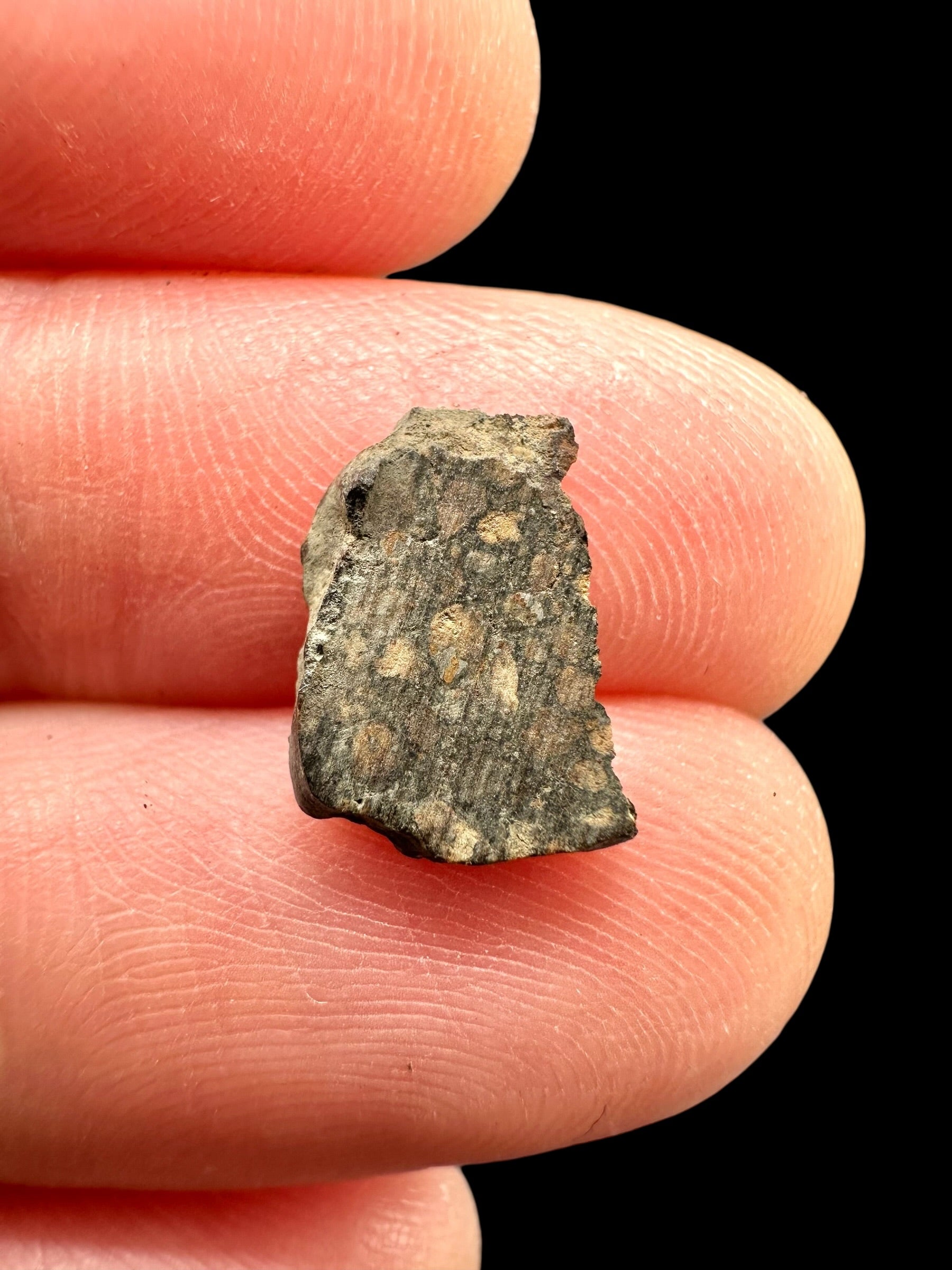 Meteorite Erg Chech 003 – 0,2g – Algeria - MEECH13
