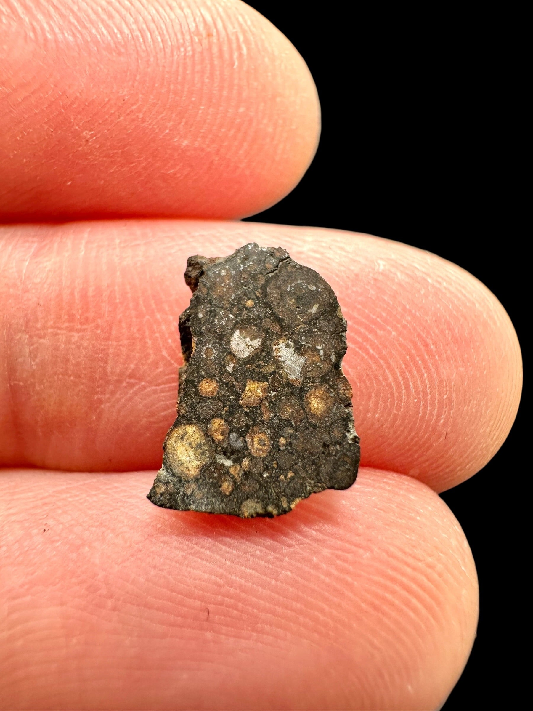 Meteorite Erg Chech 003 – 0,2g – Algeria - MEECH13
