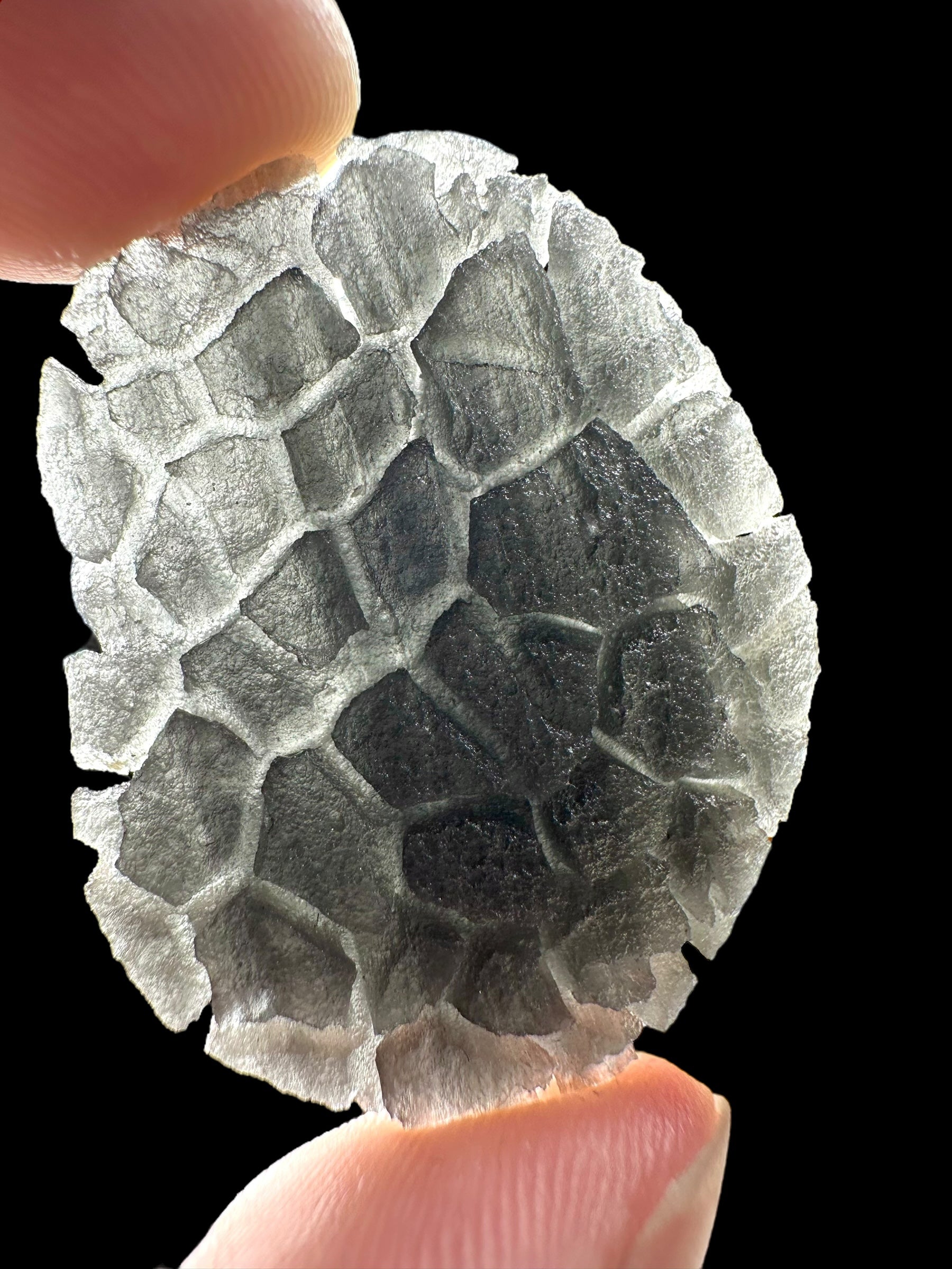 Carpathian obsidian 9,5g (Hedgehog) – Slovakia
