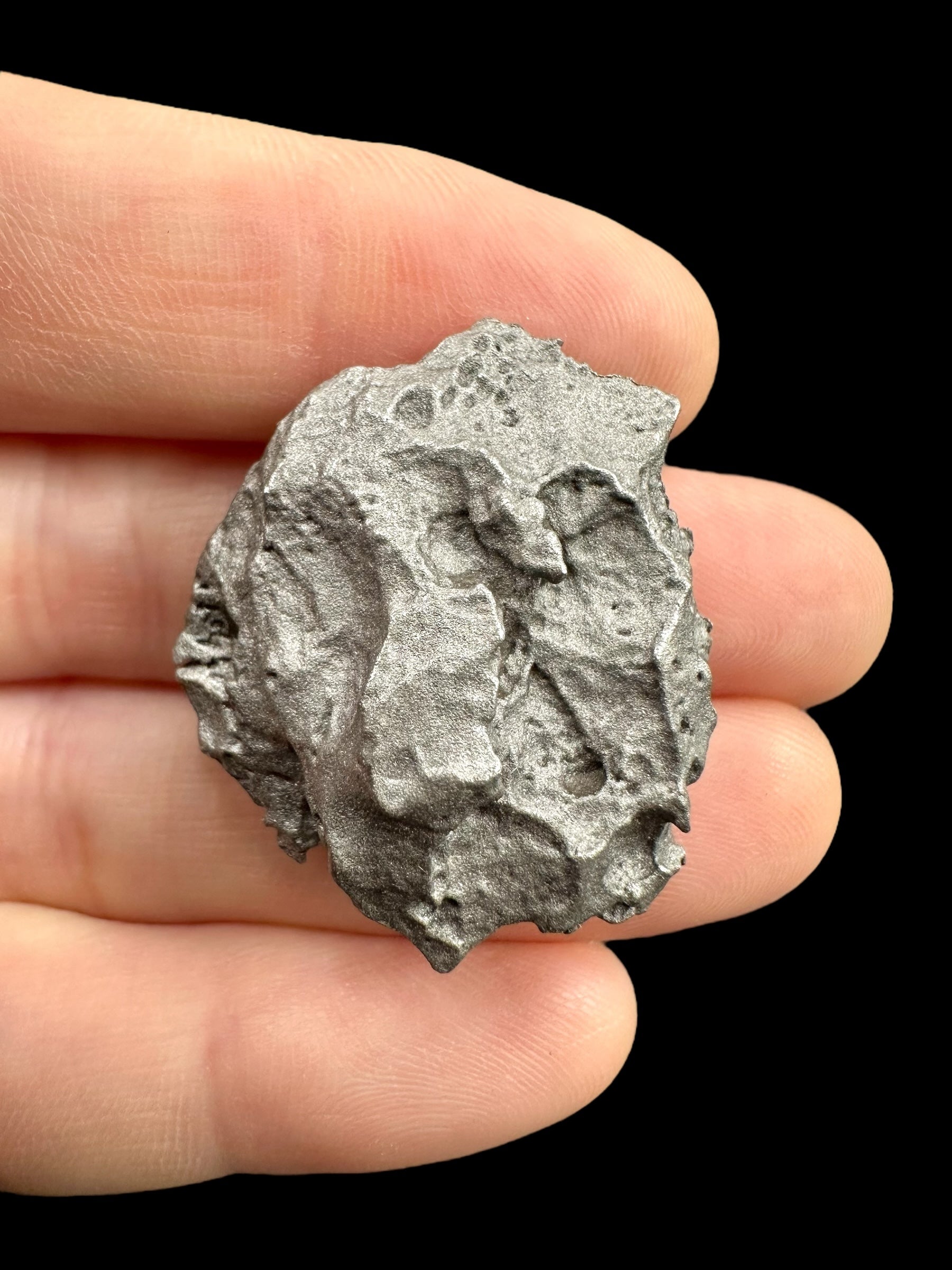 Meteorite Dronino 25,3g – Ryazan district, Russia - MEDR12