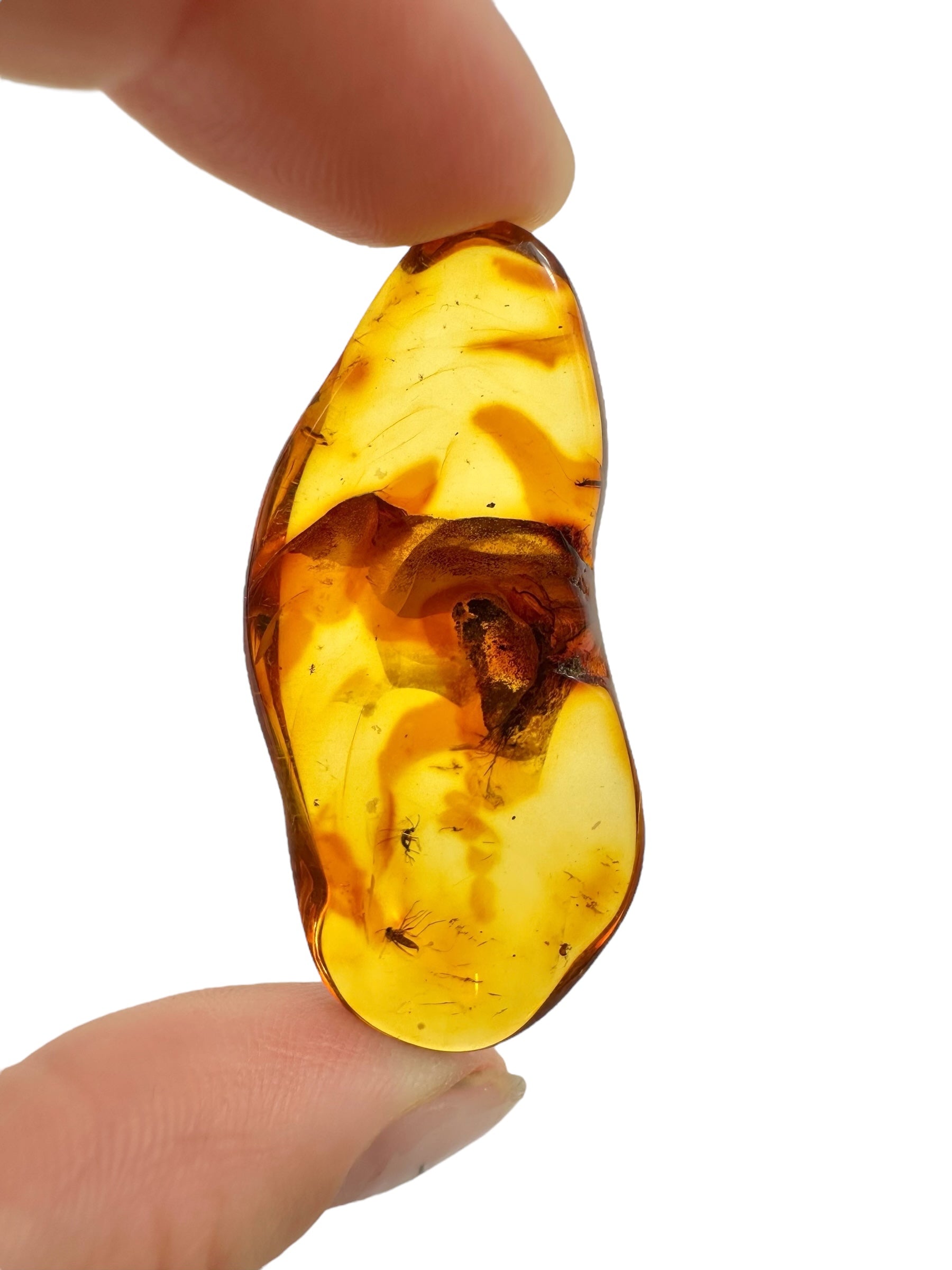 Insects in amber – Lithuania – 4,7g - IJ103