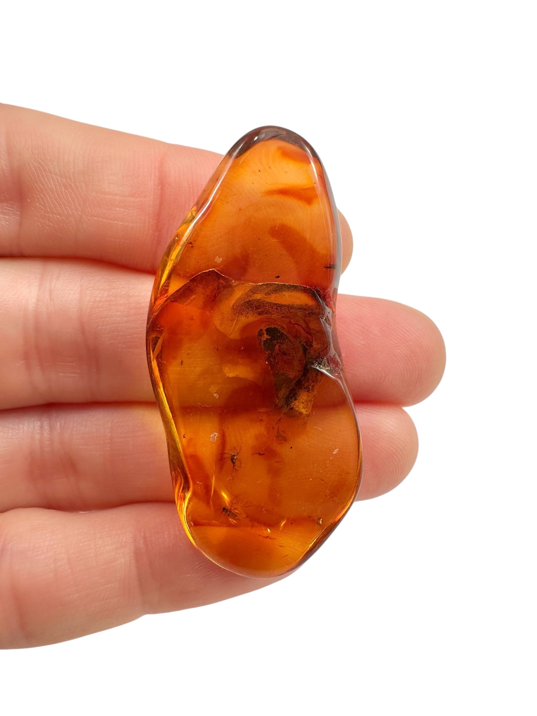 Insects in amber – Lithuania – 4,7g - IJ103