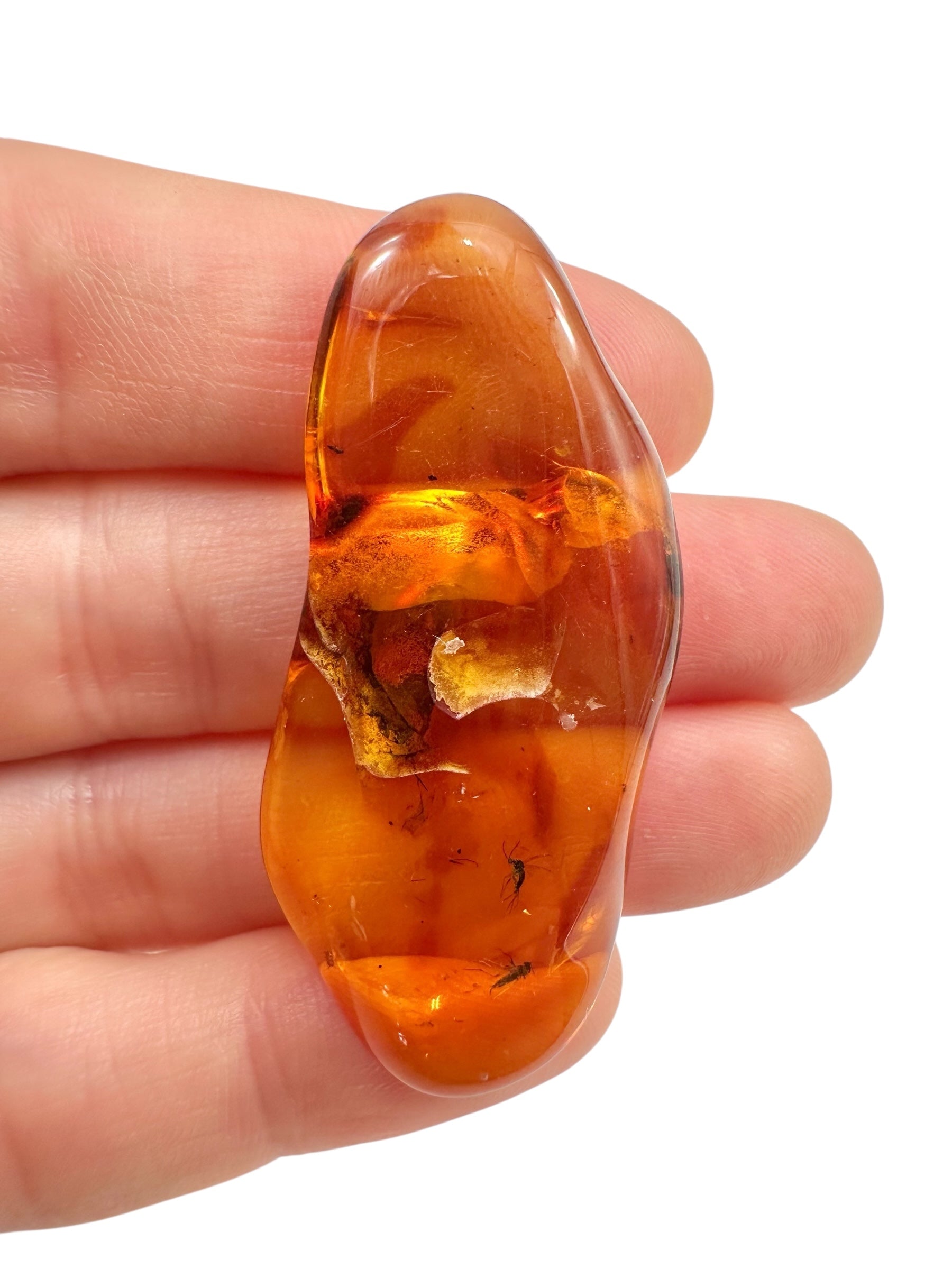 Insects in amber – Lithuania – 4,7g - IJ103