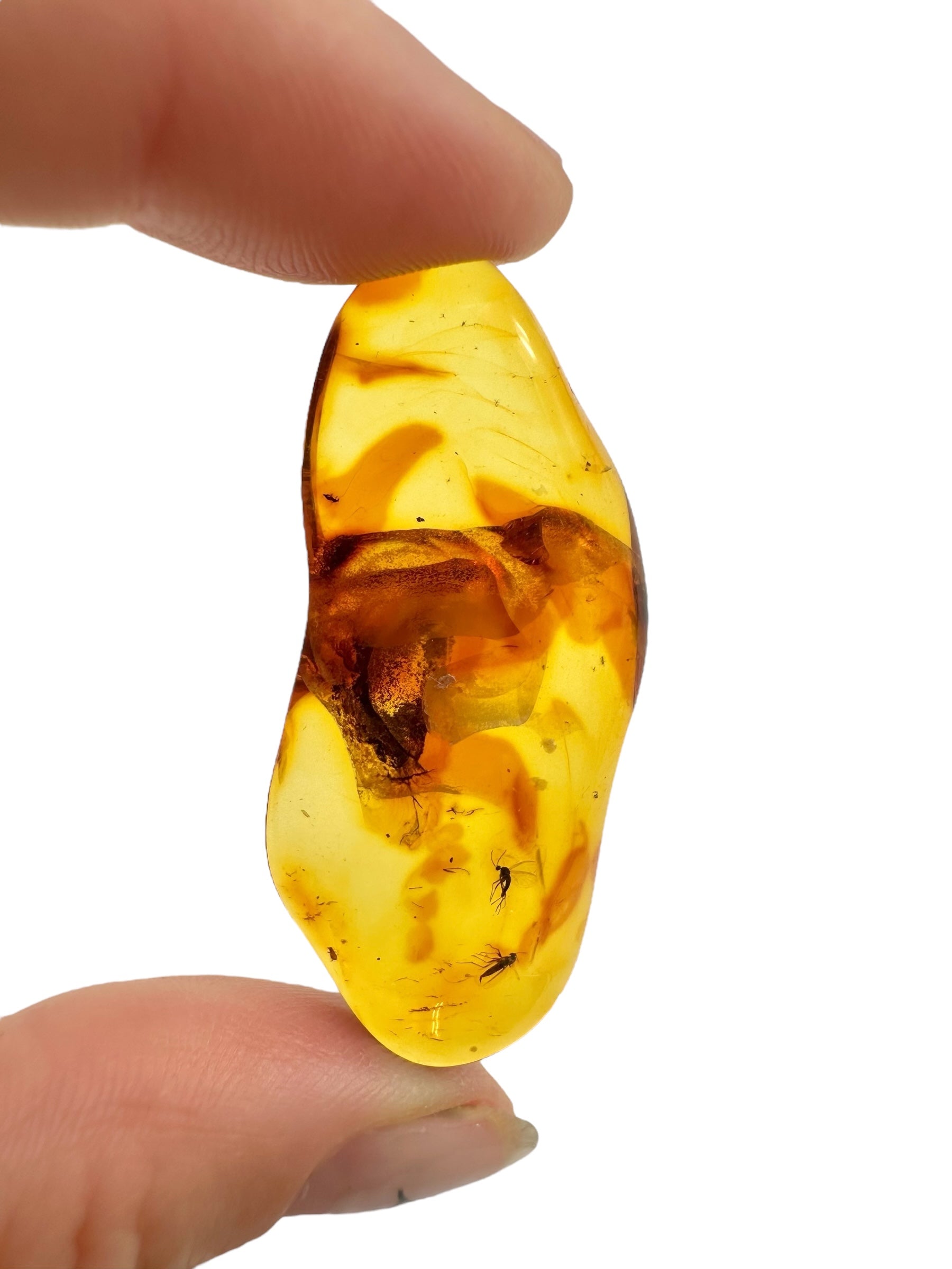 Insects in amber – Lithuania – 4,7g
