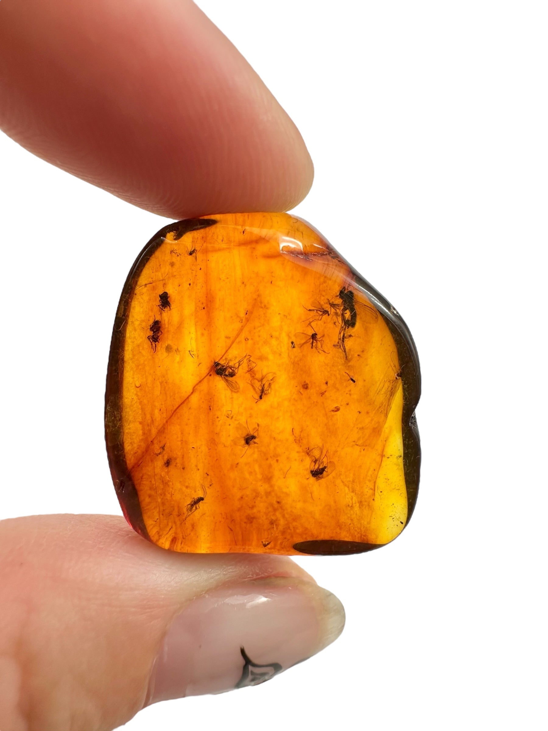 Insects in amber – Lithuania – 3,2g - IJ104