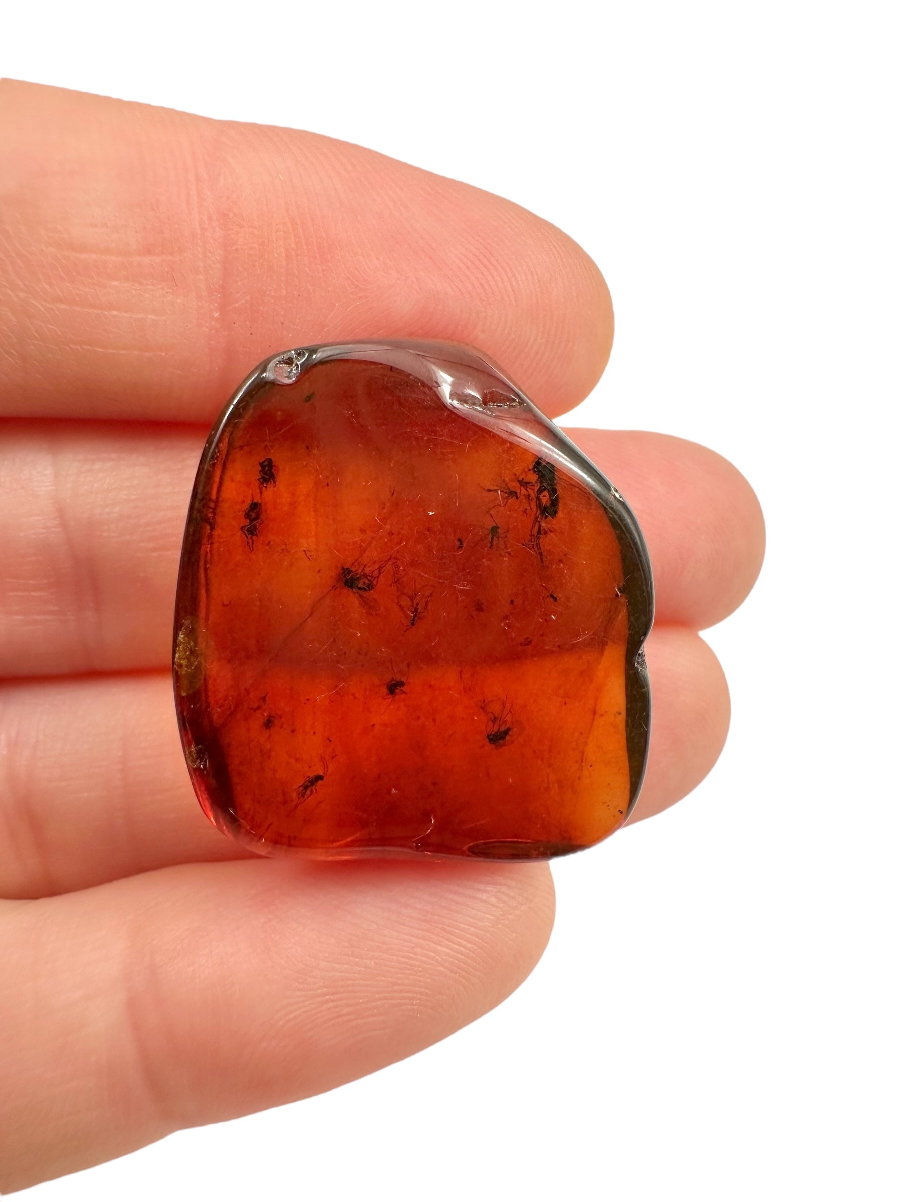 Insects in amber – Lithuania – 3,2g - IJ104