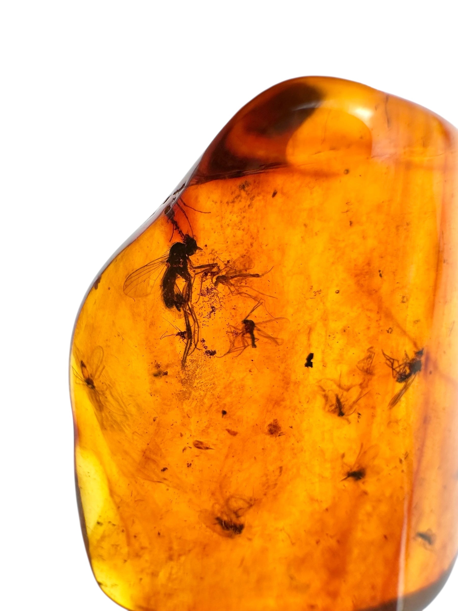 Insects in amber – Lithuania – 3,2g - IJ104