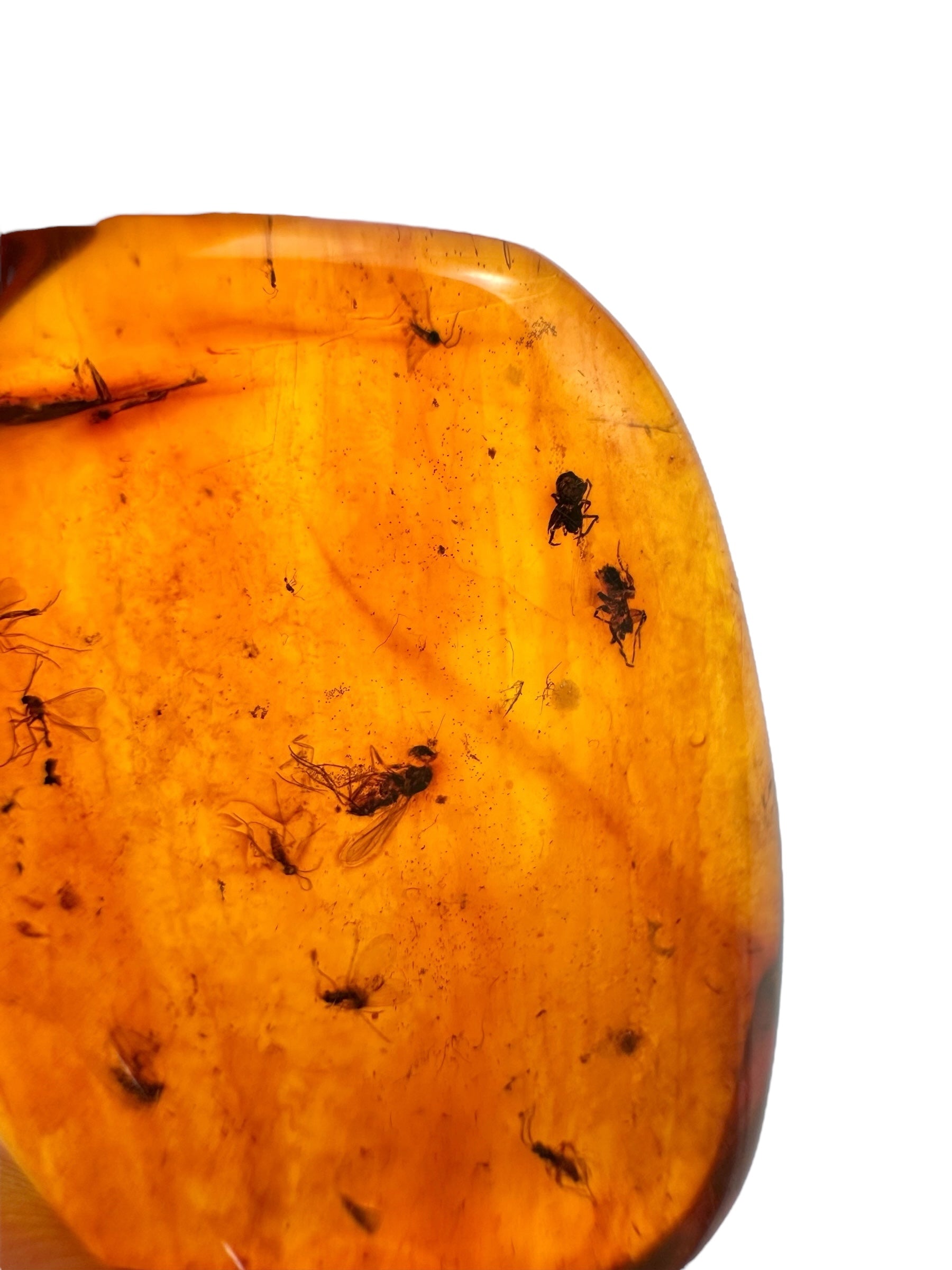 Insects in amber – Lithuania – 3,2g - IJ104