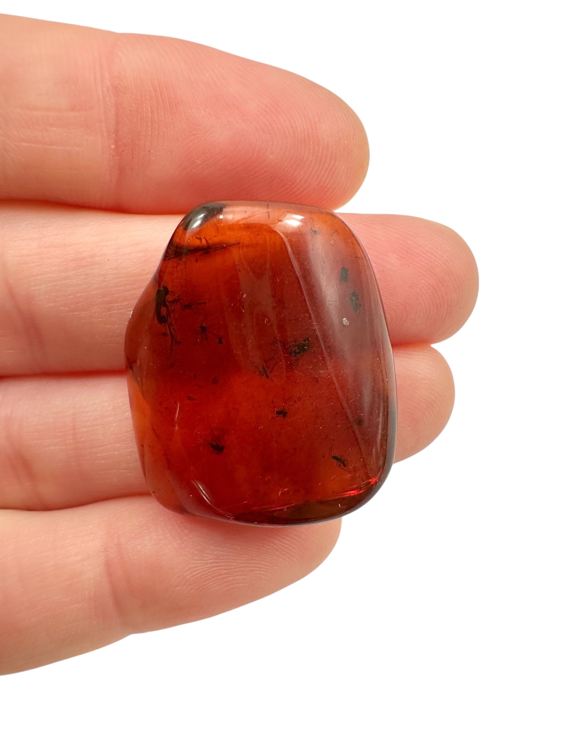 Insects in amber – Lithuania – 3,2g - IJ104