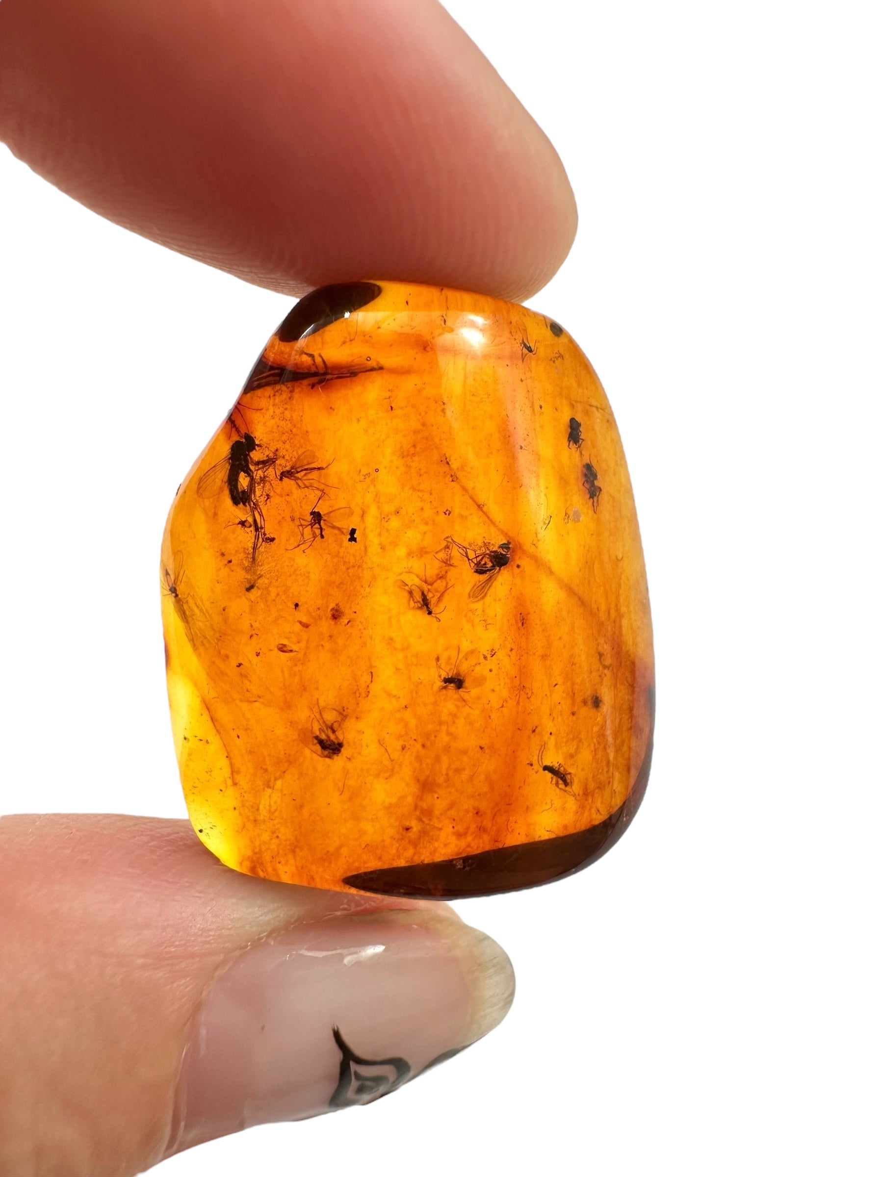 Insects in amber – Lithuania – 3,2g