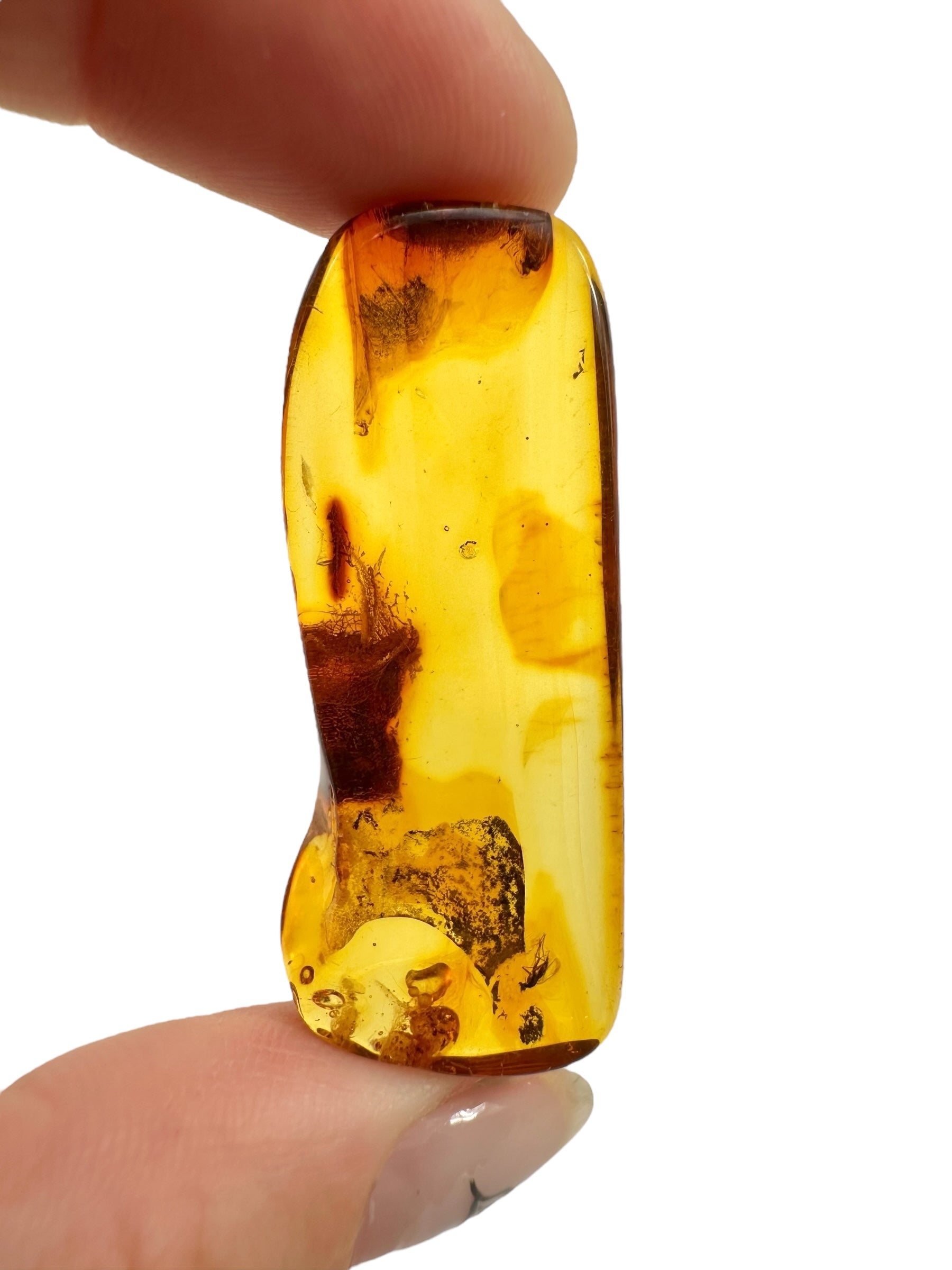 Insects in amber – Lithuania – 3,6g - IJ105