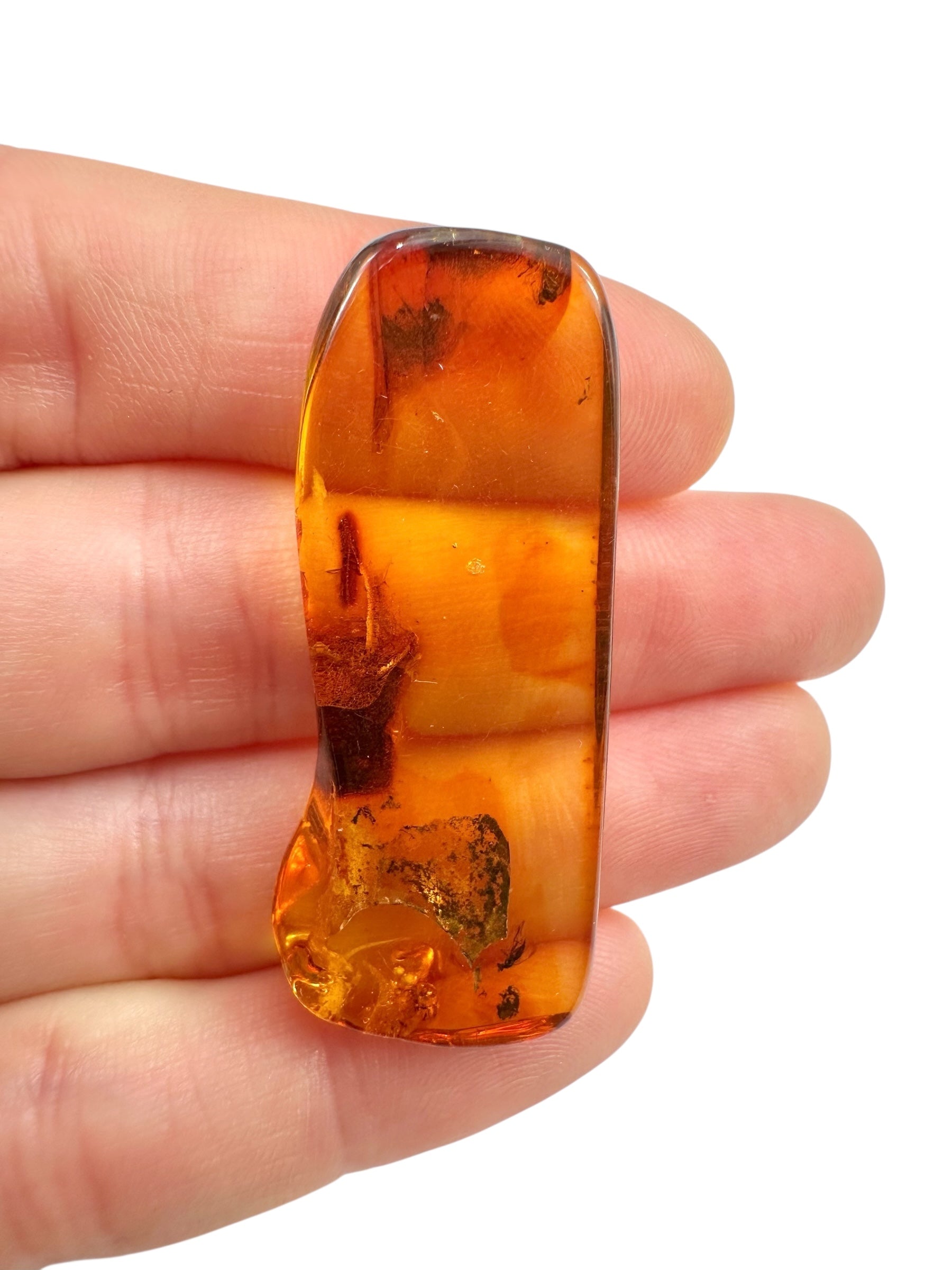 Insects in amber – Lithuania – 3,6g - IJ105