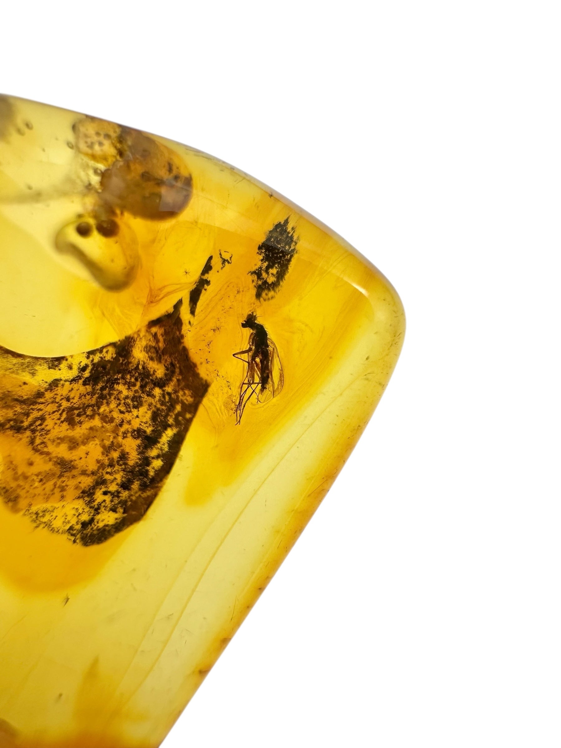 Insects in amber – Lithuania – 3,6g - IJ105