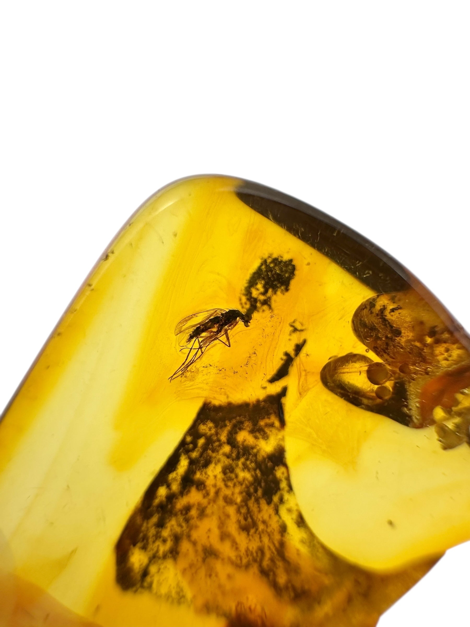 Insects in amber – Lithuania – 3,6g - IJ105