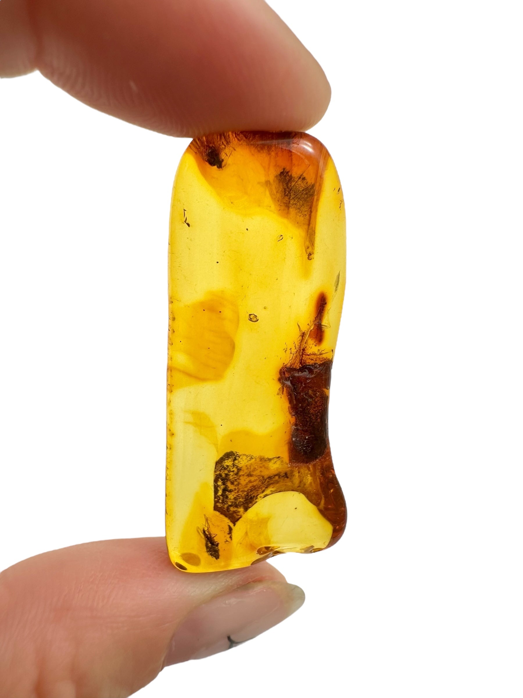Insects in amber – Lithuania – 3,6g