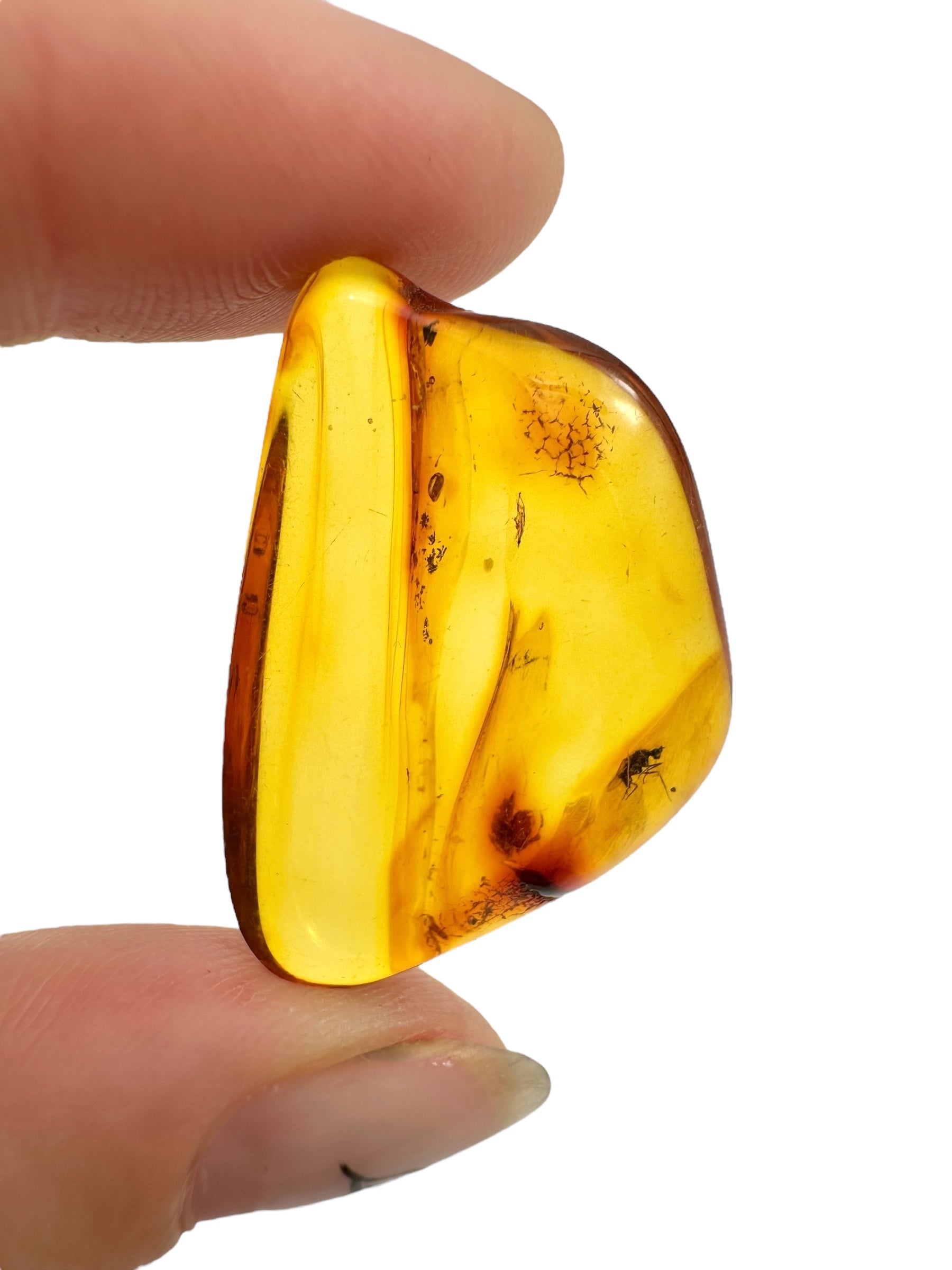Insects in amber – Lithuania – 2,9g - IJ106