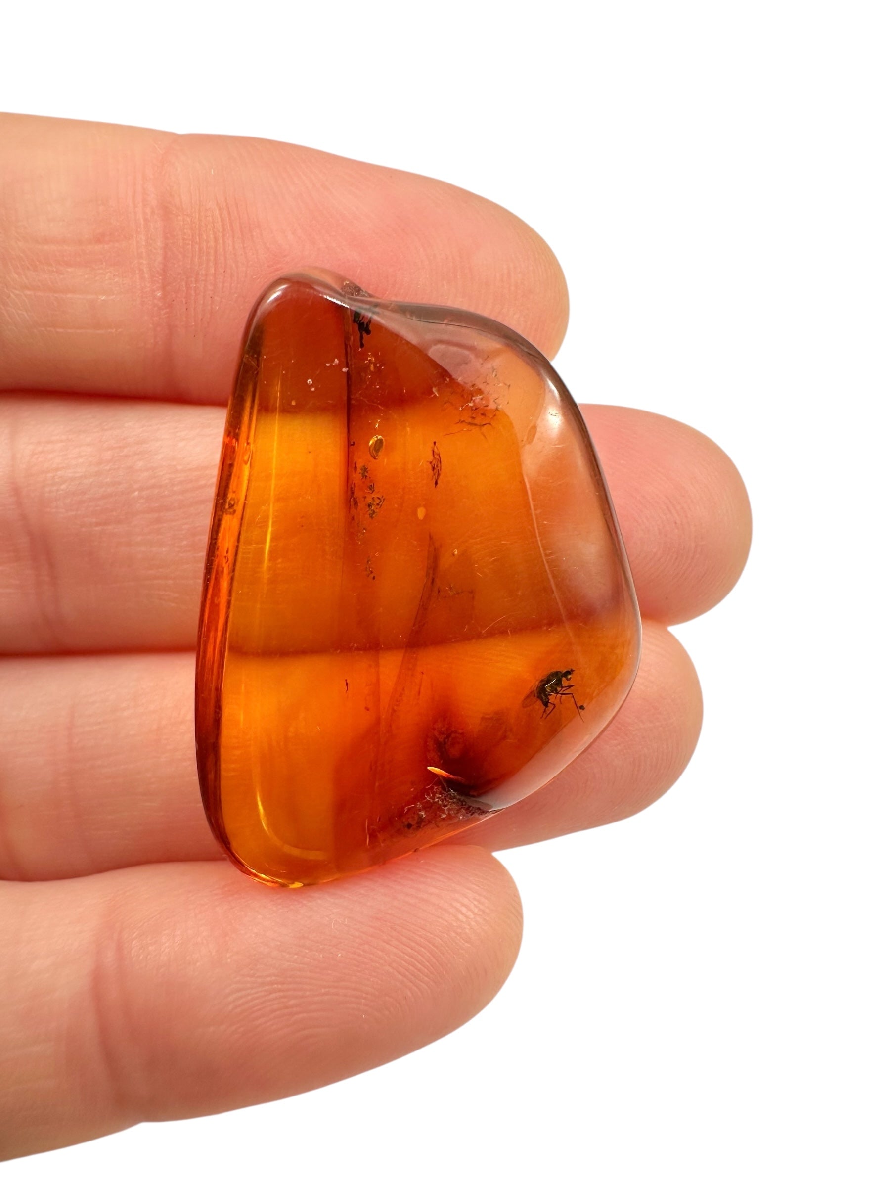 Insects in amber – Lithuania – 2,9g - IJ106