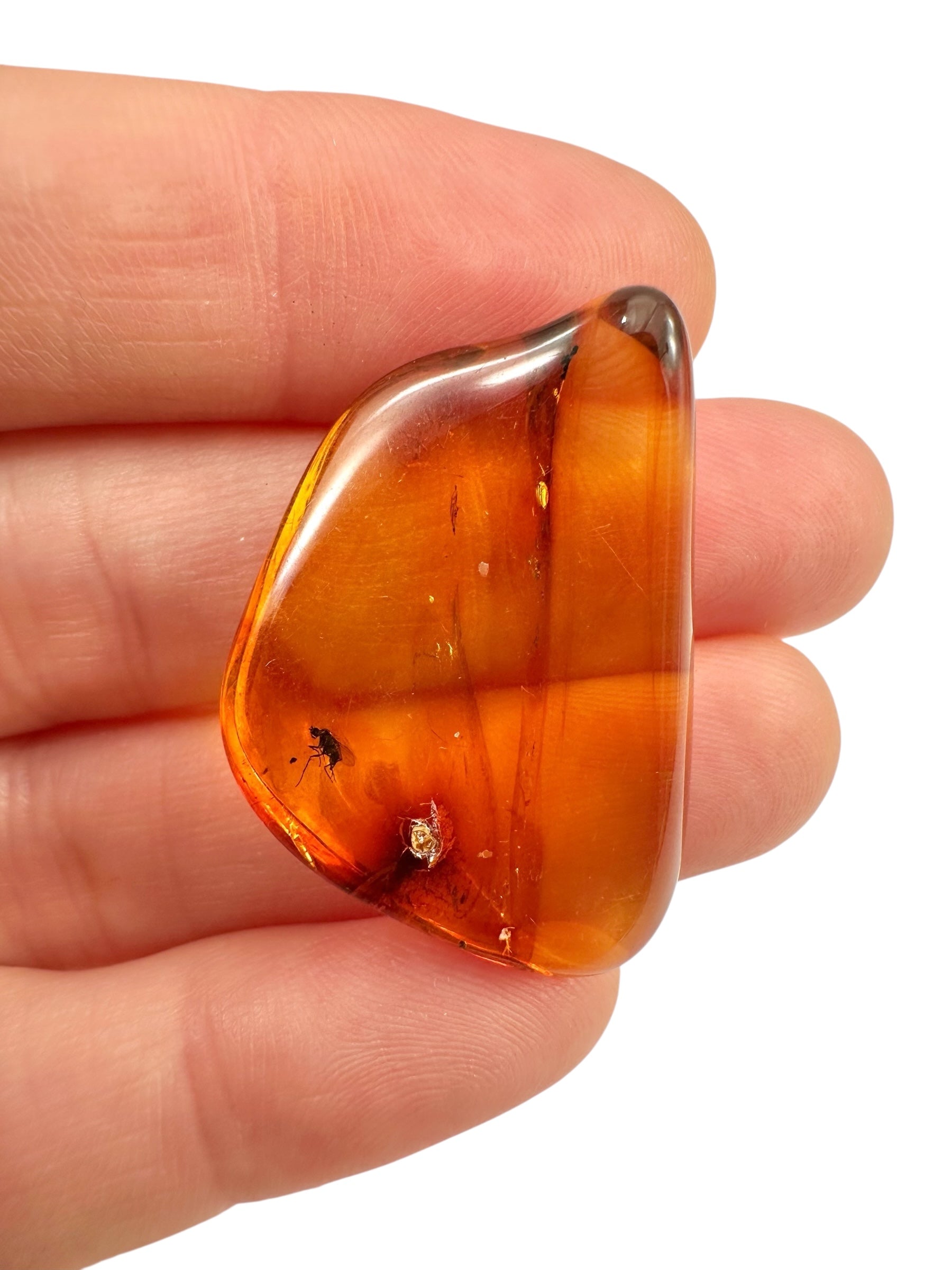 Insects in amber – Lithuania – 2,9g - IJ106