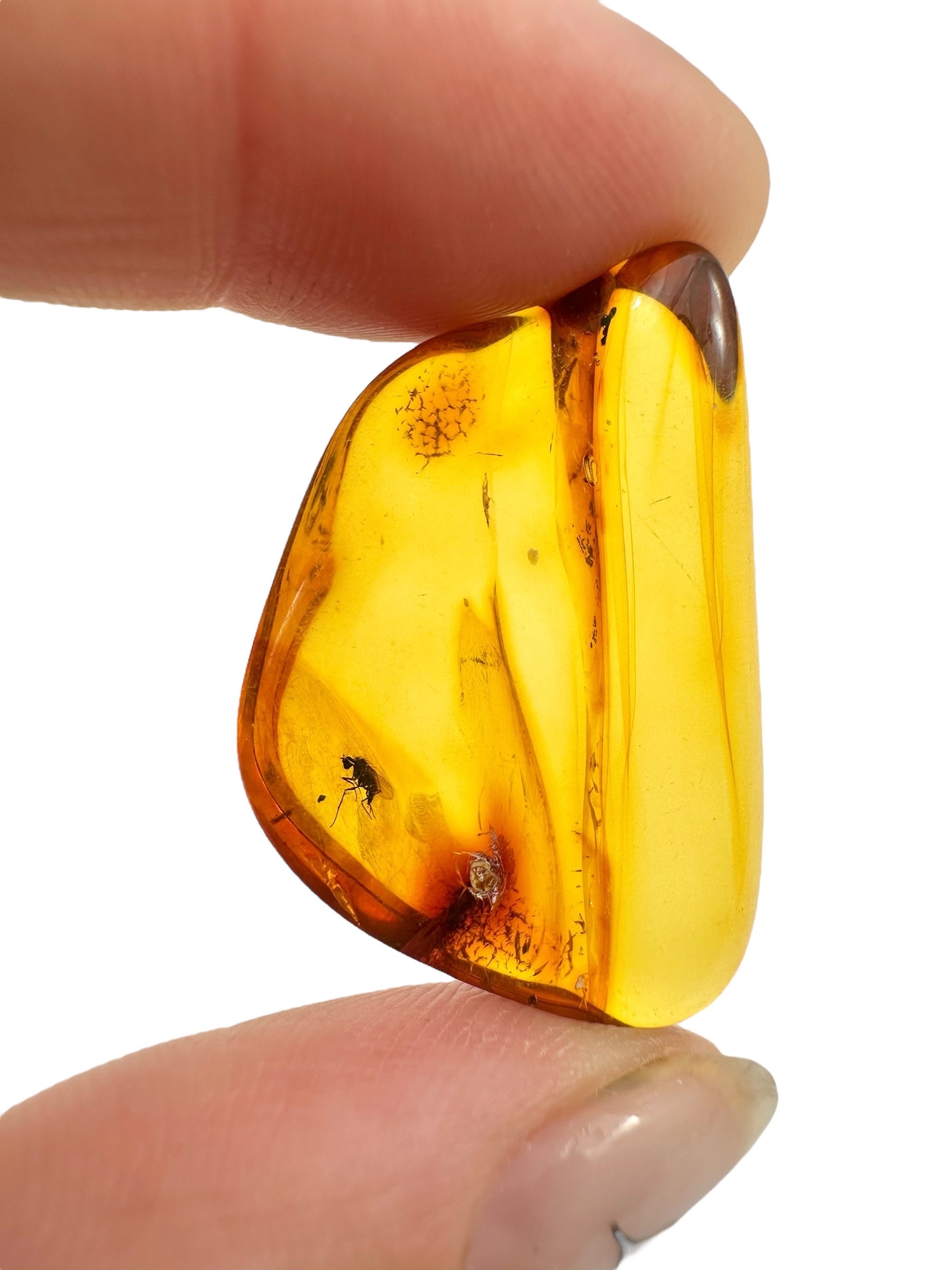 Insects in amber – Lithuania – 2,9g