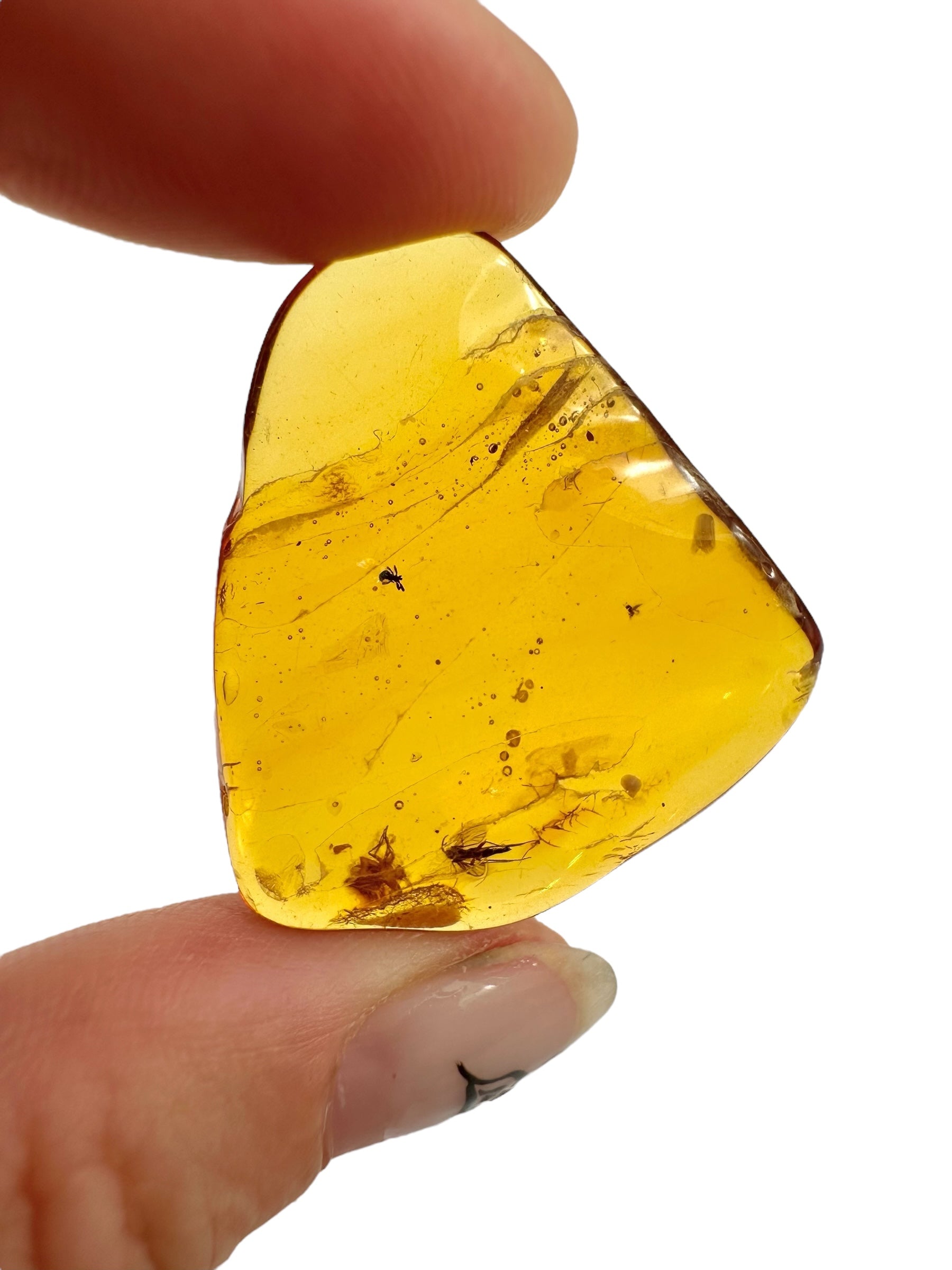 Insects in amber – Lithuania – 3,6g - IJ108