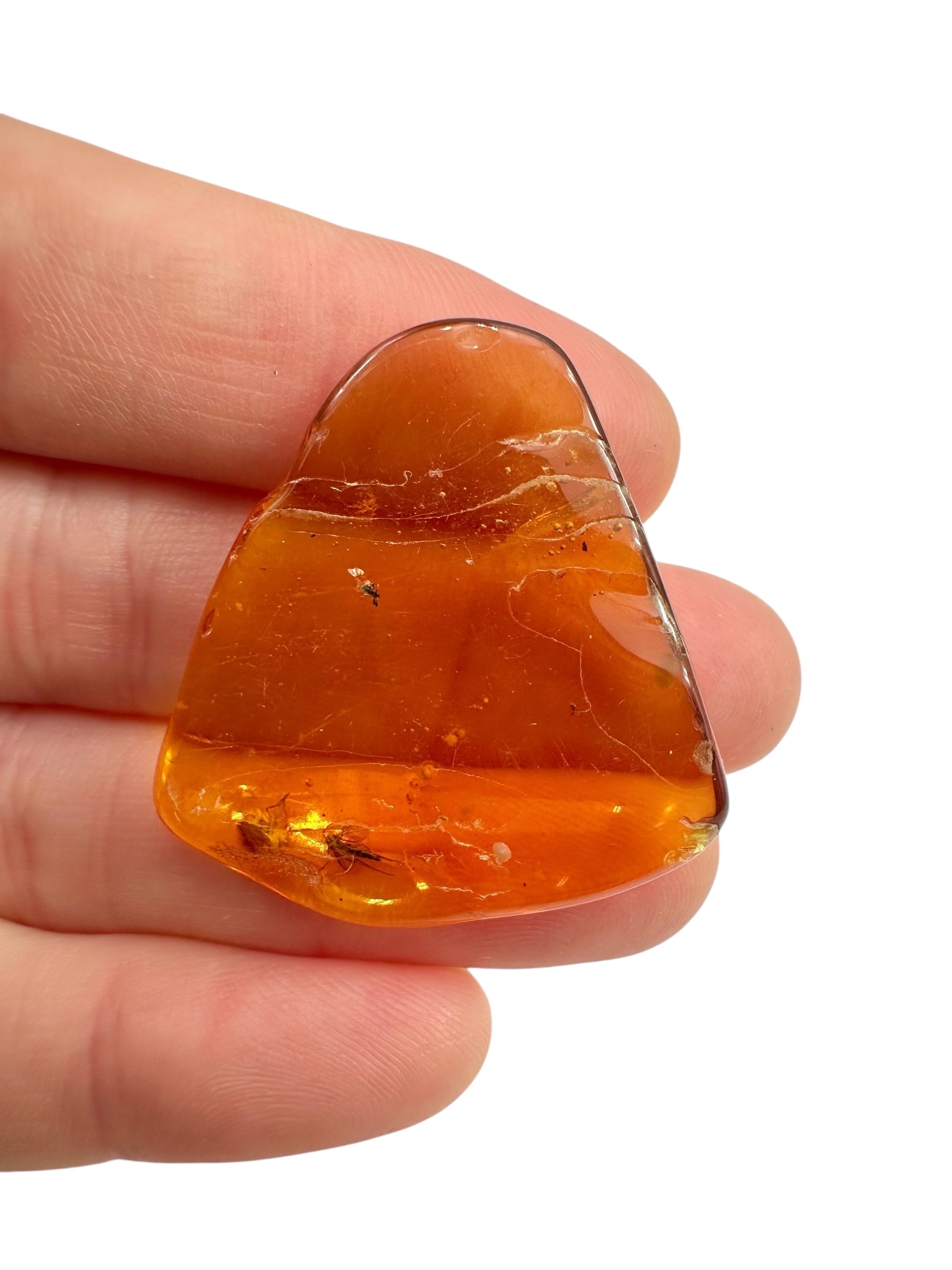 Insects in amber – Lithuania – 3,6g - IJ108