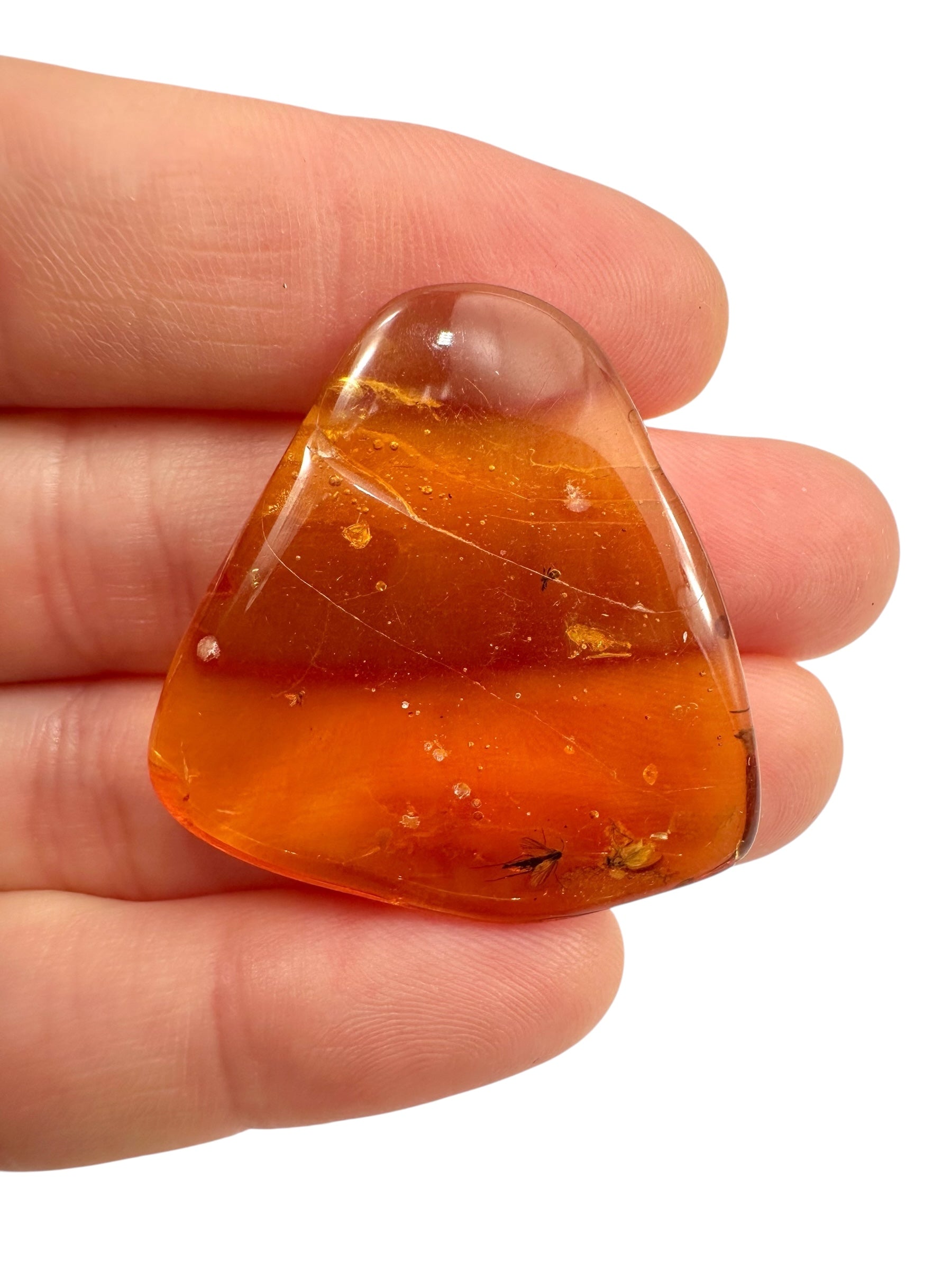 Insects in amber – Lithuania – 3,6g - IJ108