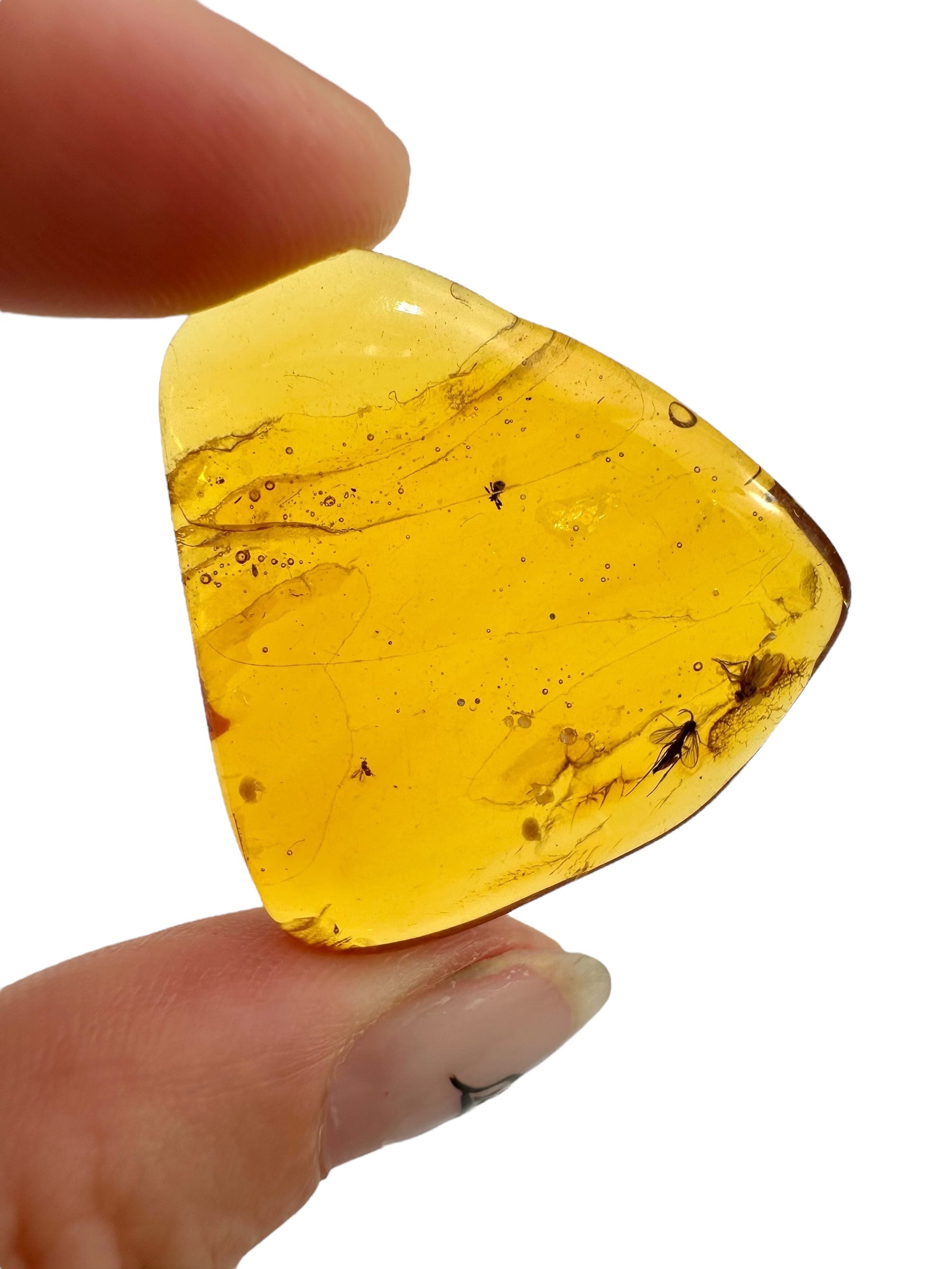 Insects in amber – Lithuania – 3,6g