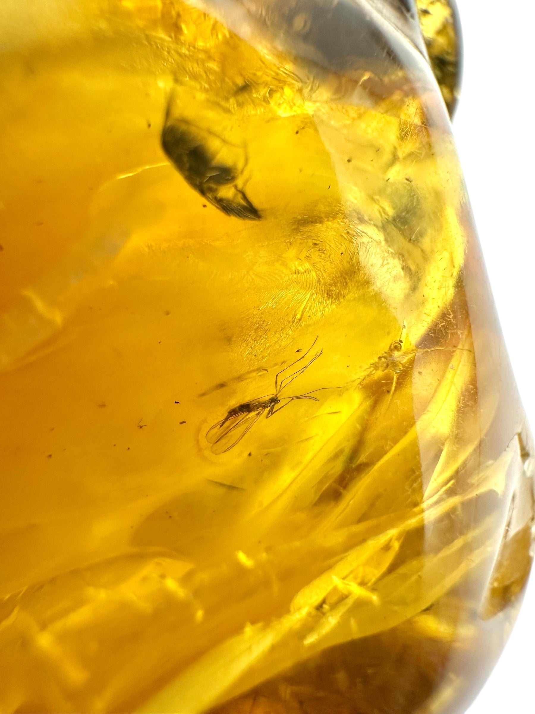 Insects in amber – Lithuania – 29,2g - IJ109
