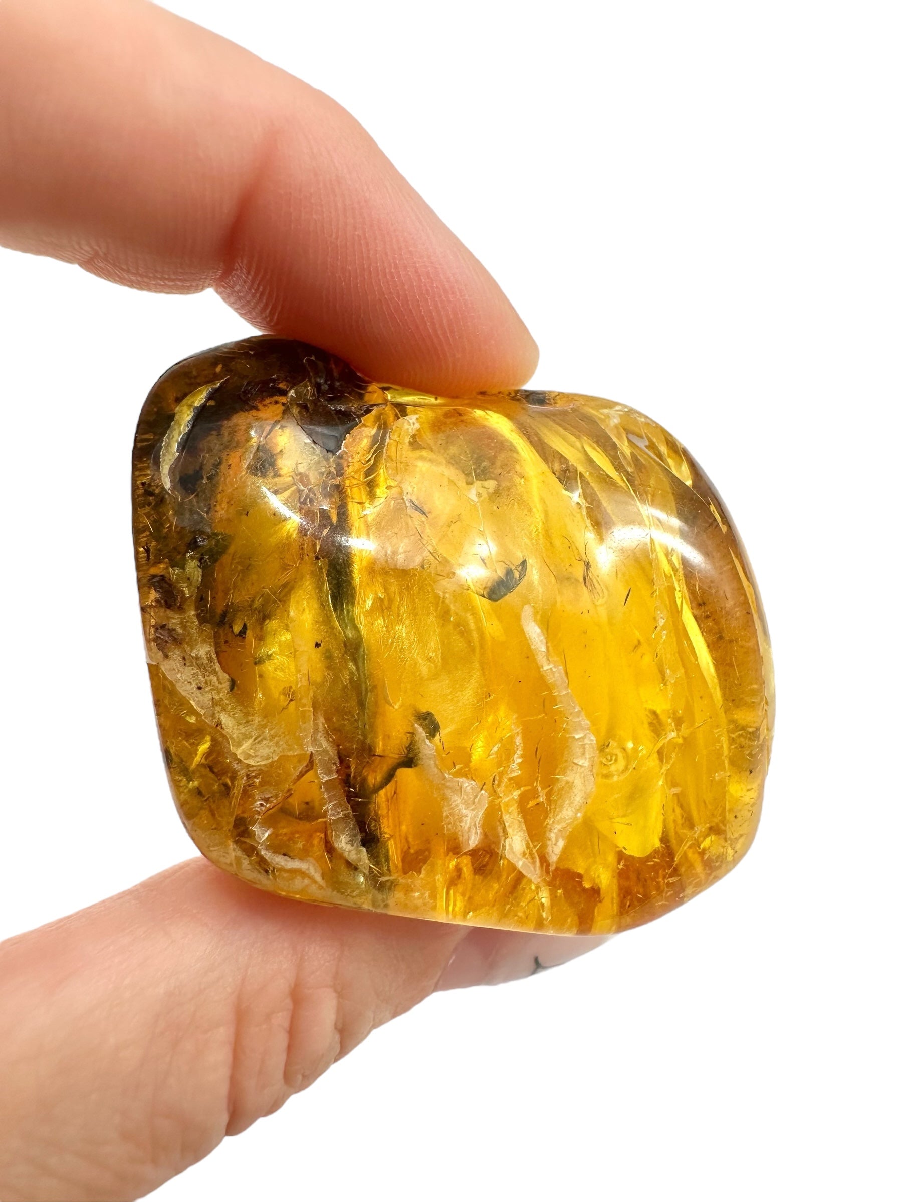 Insects in amber – Lithuania – 29,2g