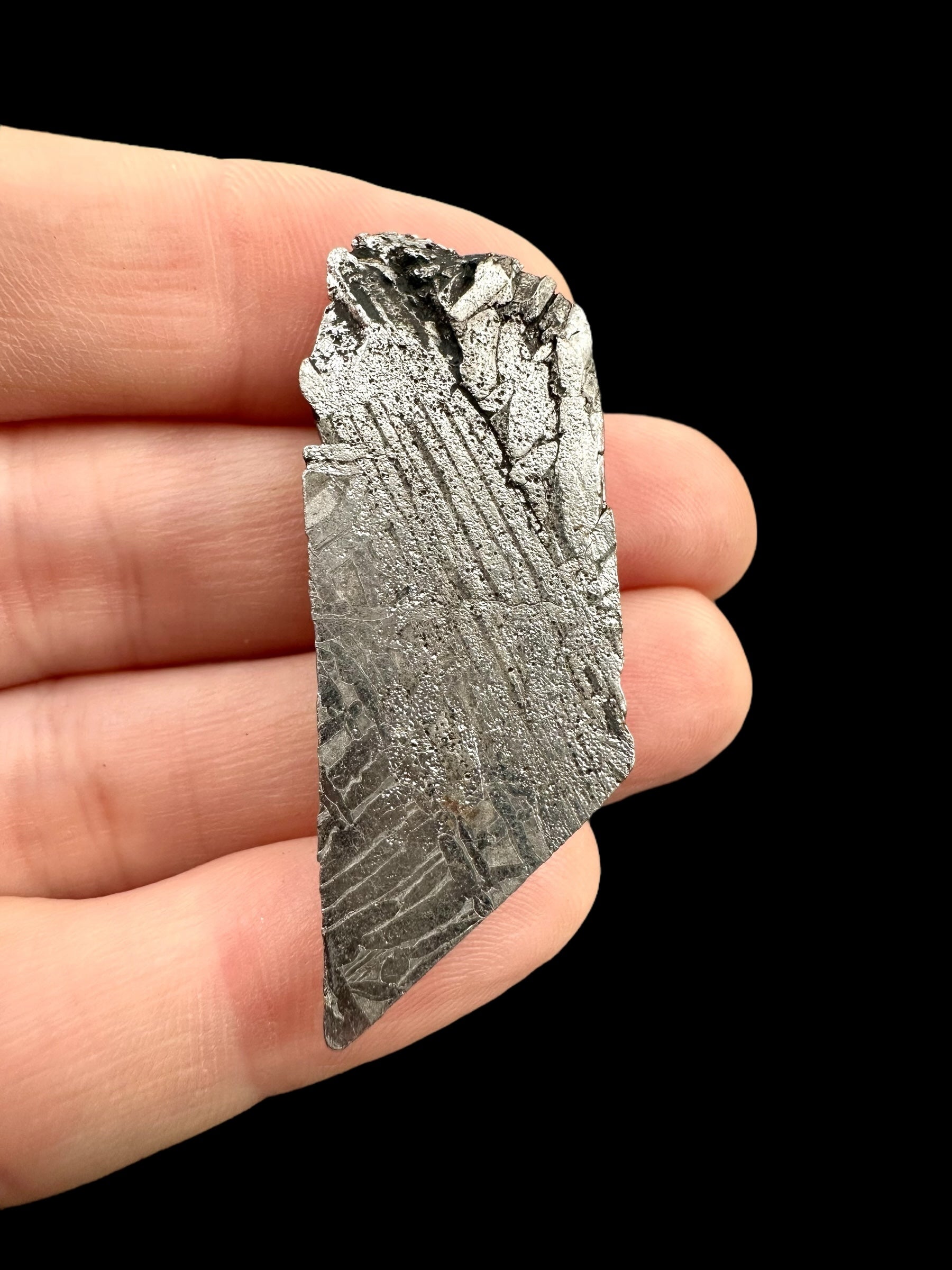 Meteorite Aletai 17,1g – Xinjiang, China - MEAL81