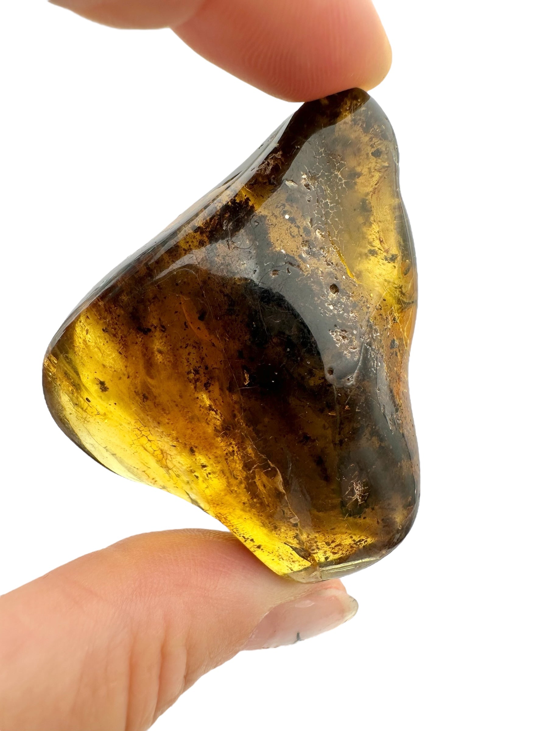 Amber – Lithuania – 20,2g - JN411