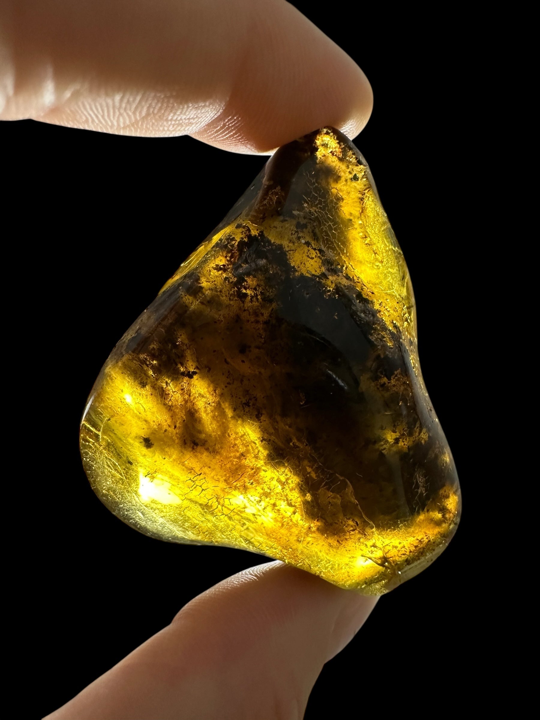 Amber – Lithuania – 20,2g - JN411