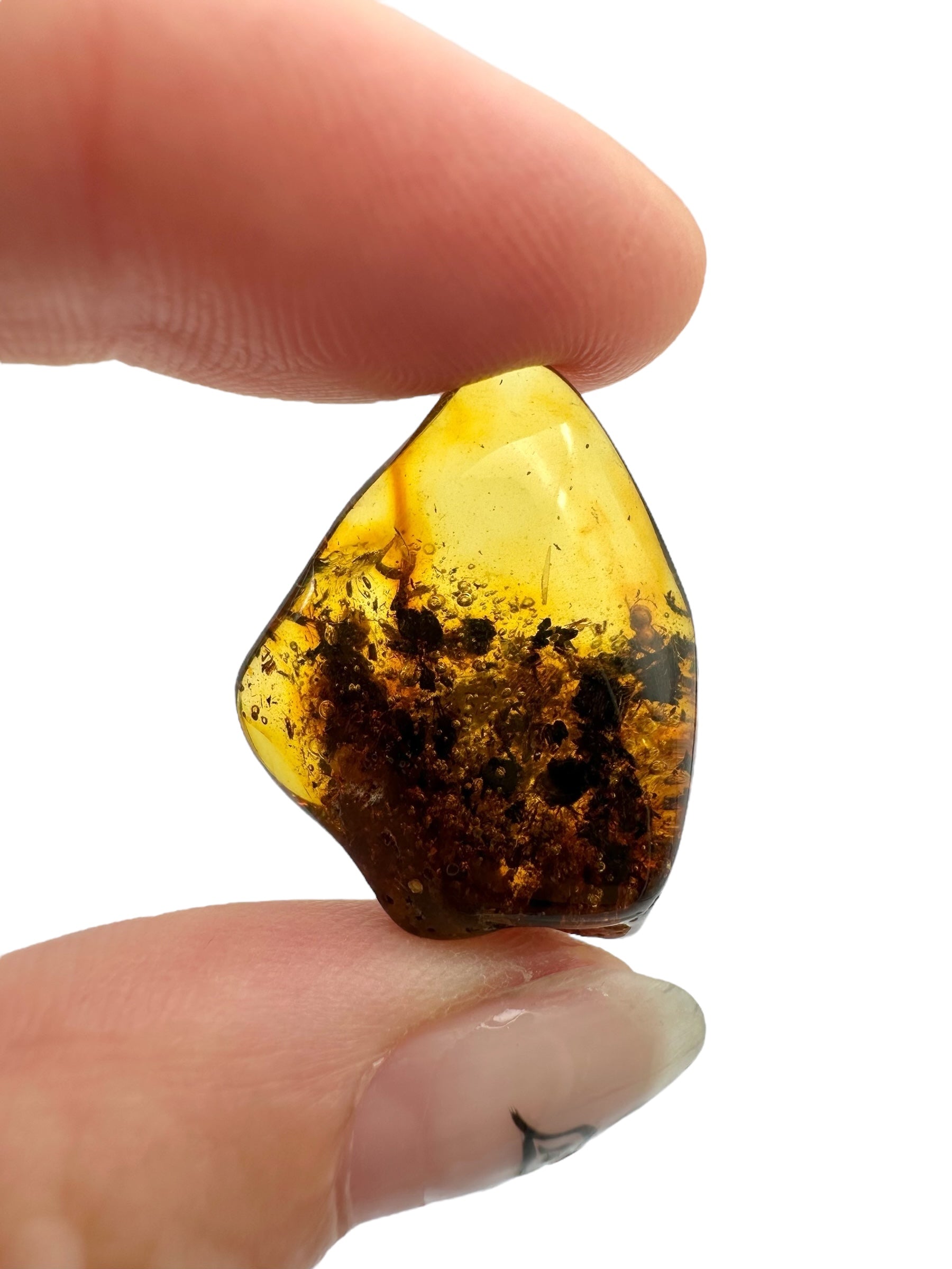 Amber – Lithuania – 2,2g - JN413