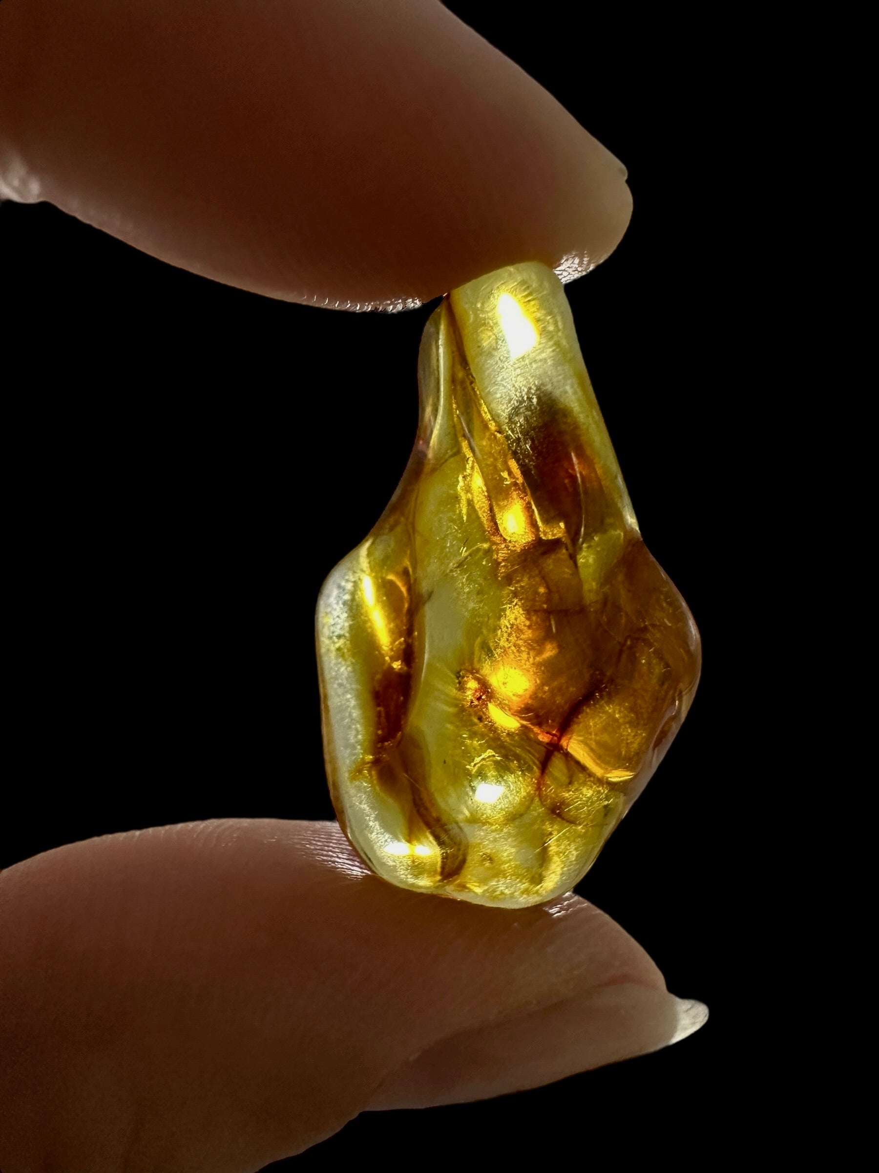 Amber – Lithuania – 1,9g - JN414